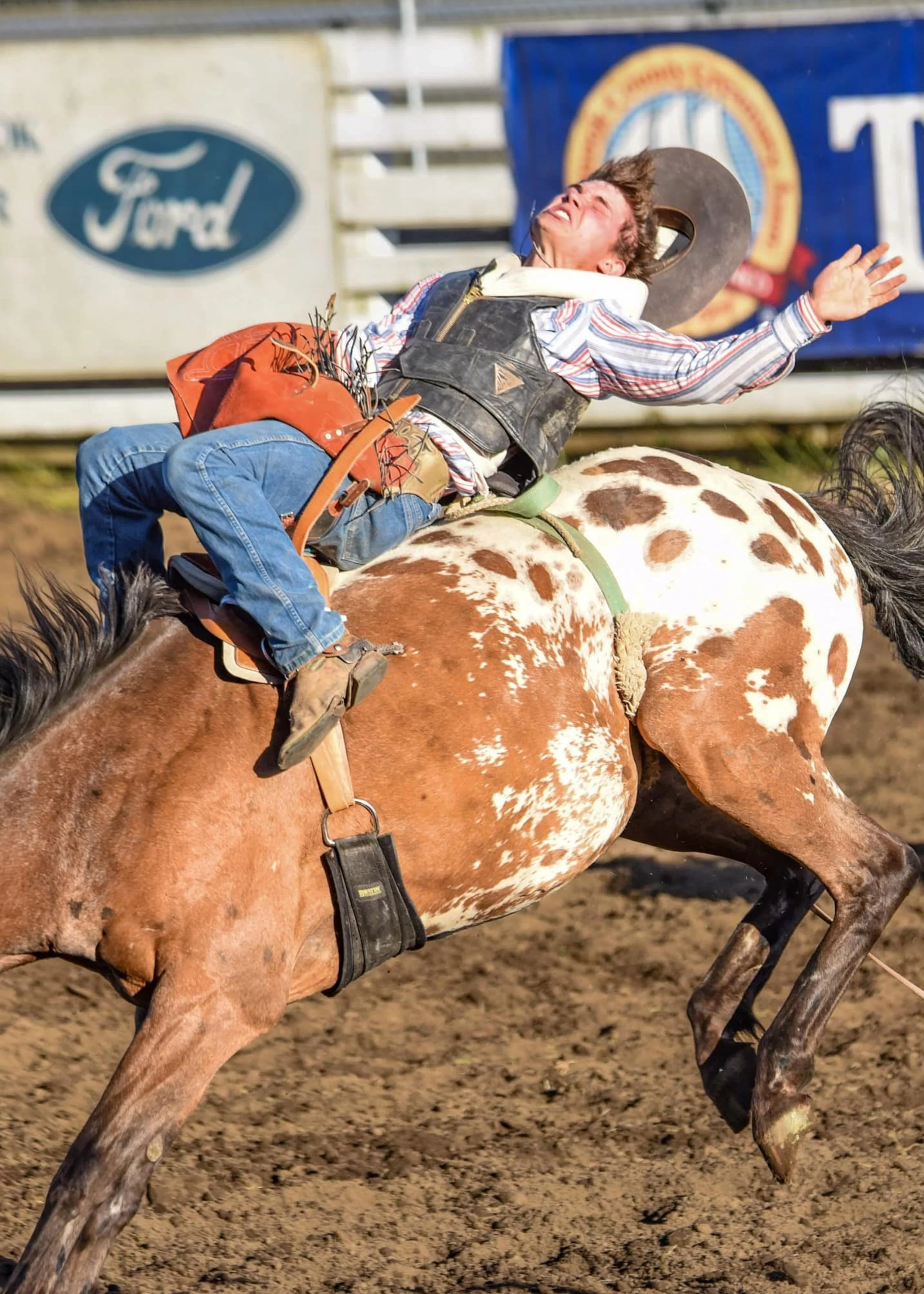rodeo.jpg