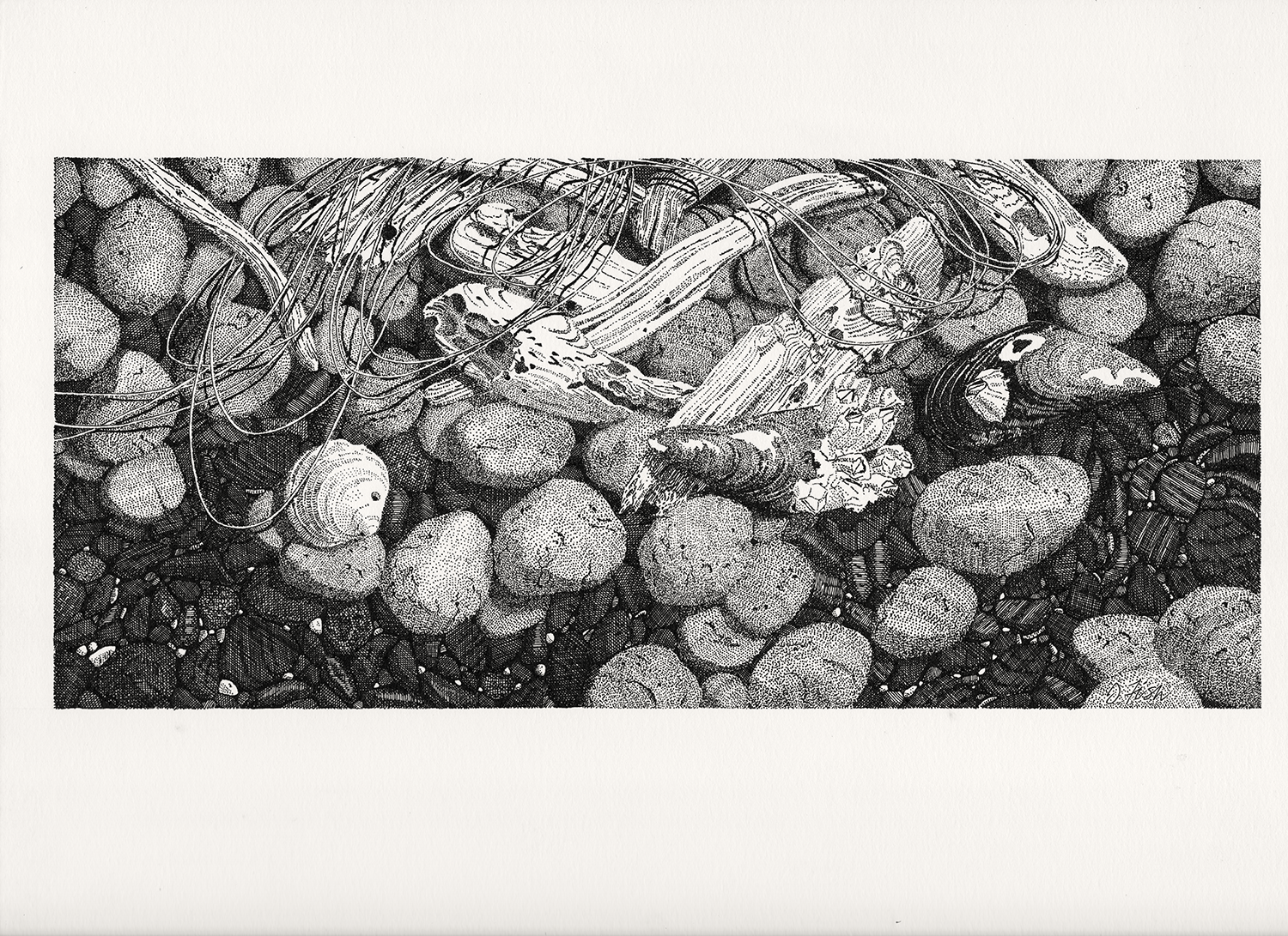David Fish_Beach Impressions II_Scan_for OCCA_4.30.2025(2).png