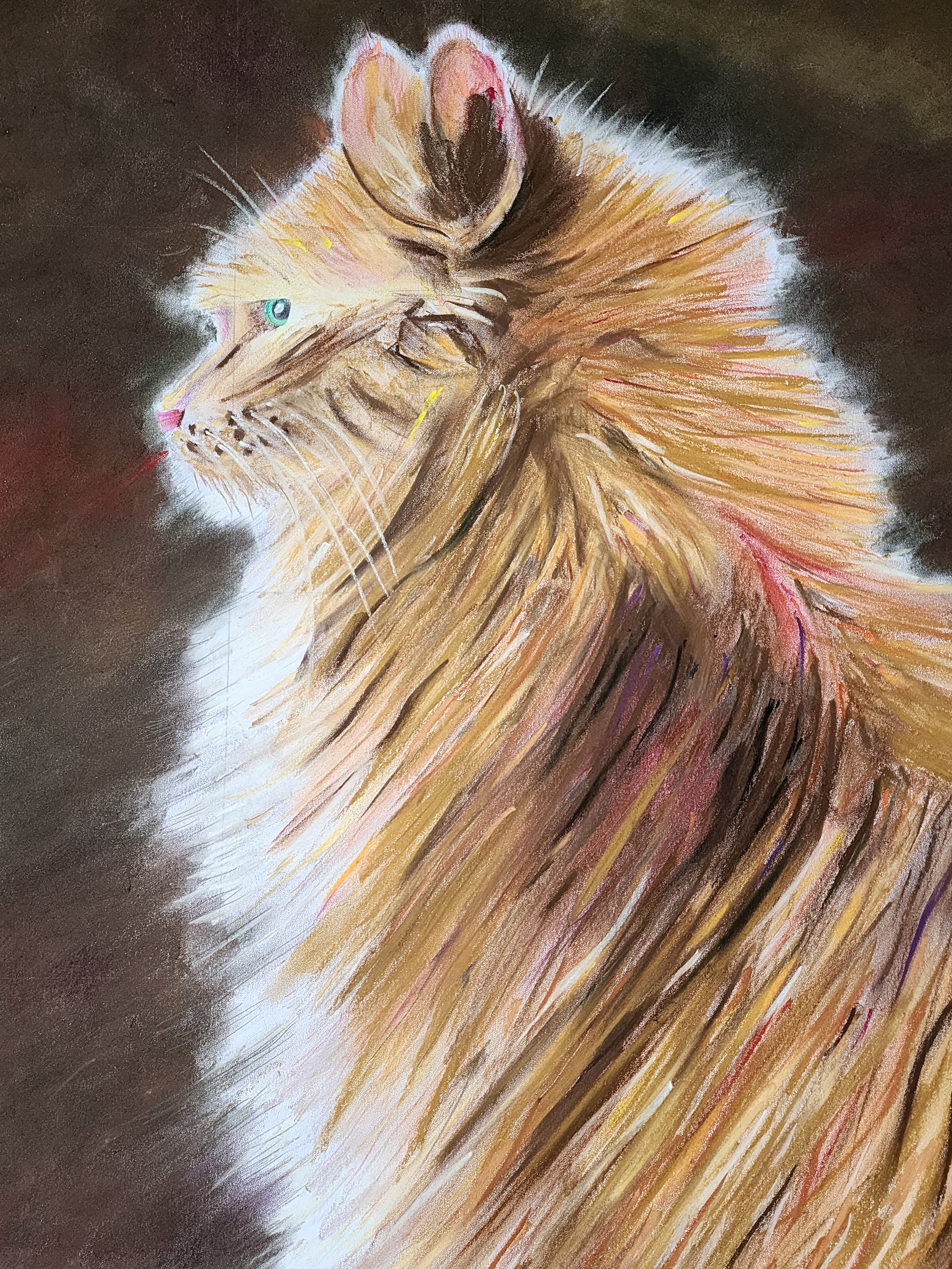 Lion Cat .jpg