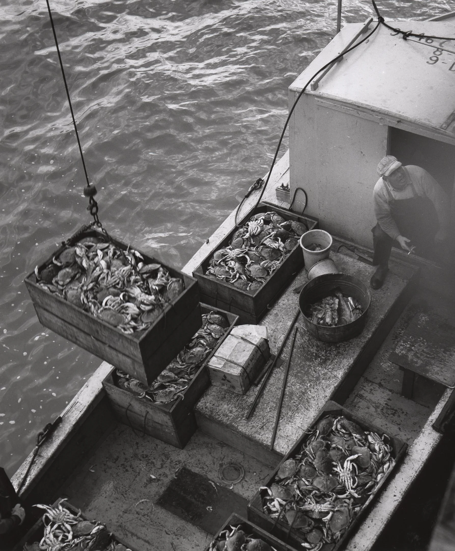 779-Crabbing ca 1961.jpg