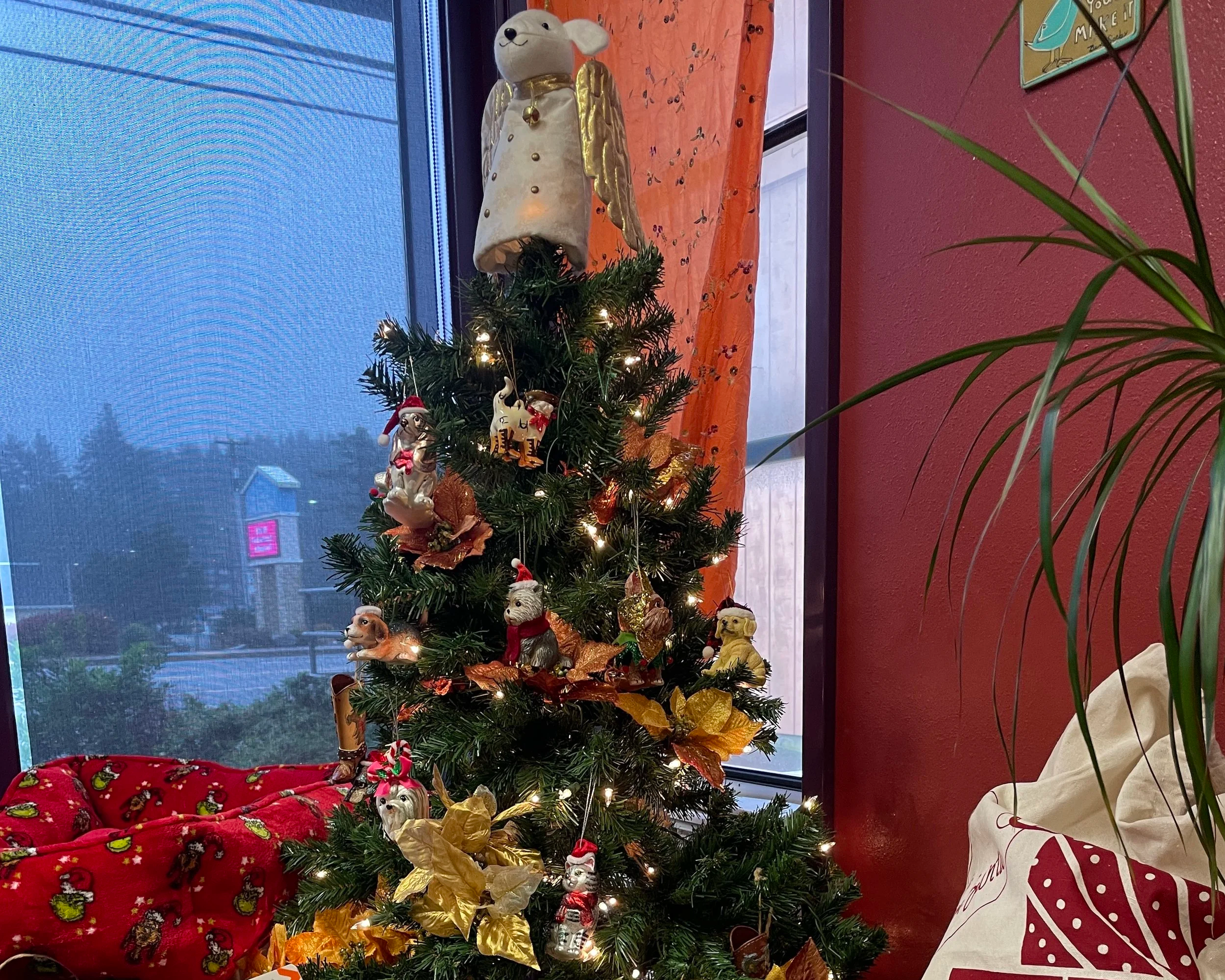 Giving Tree returns to Lincoln City