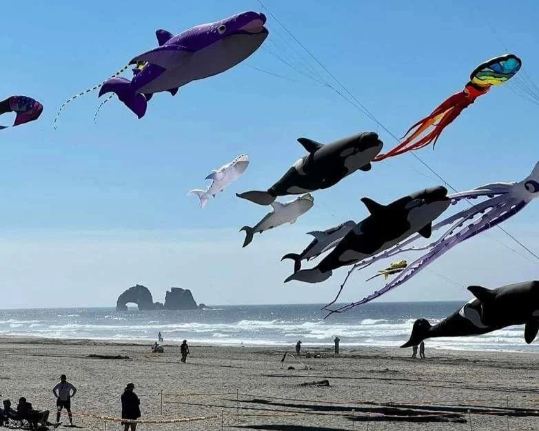 Rockaway Beach reaches for the sky