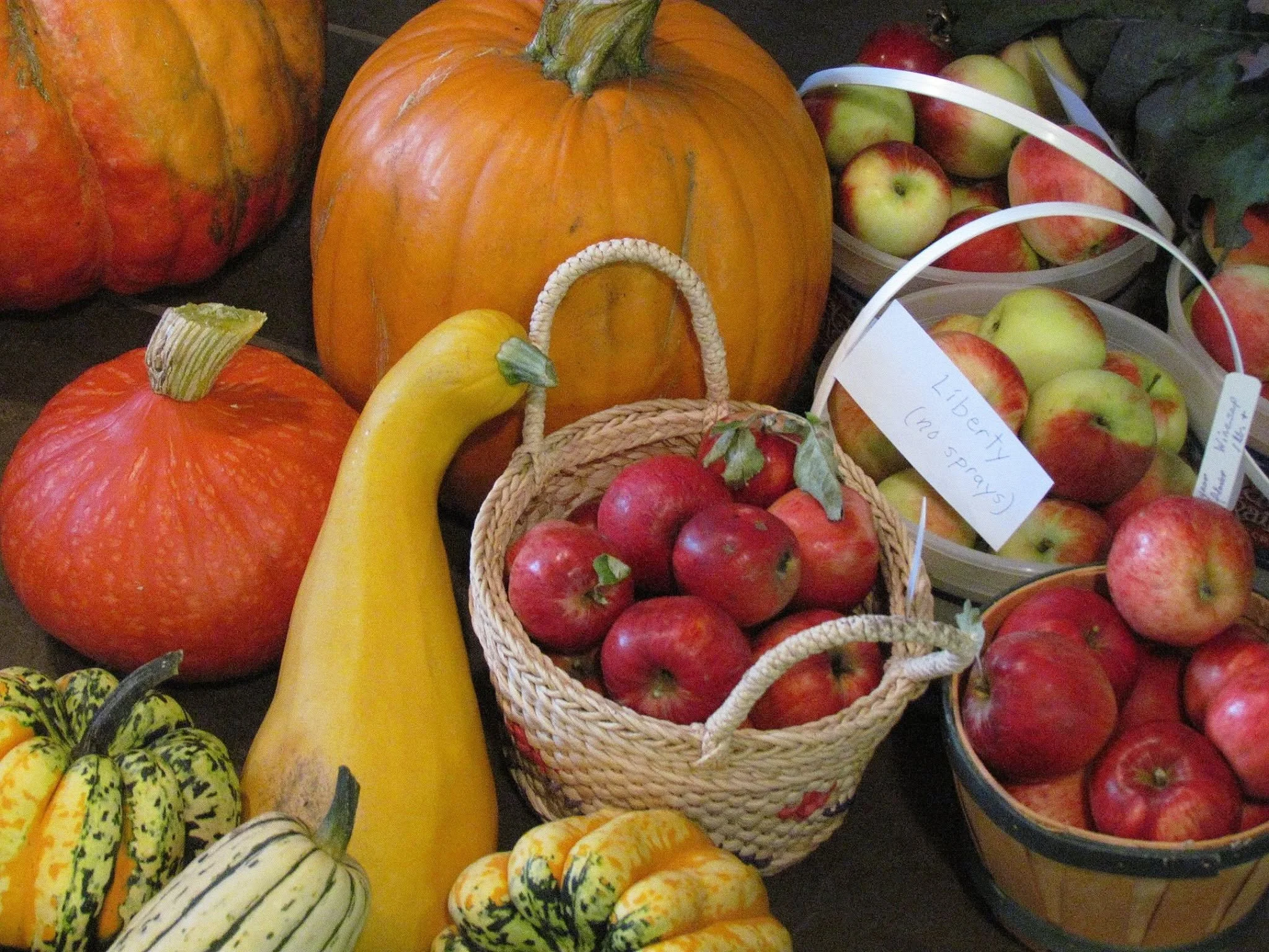 Logsden brings in the harvest