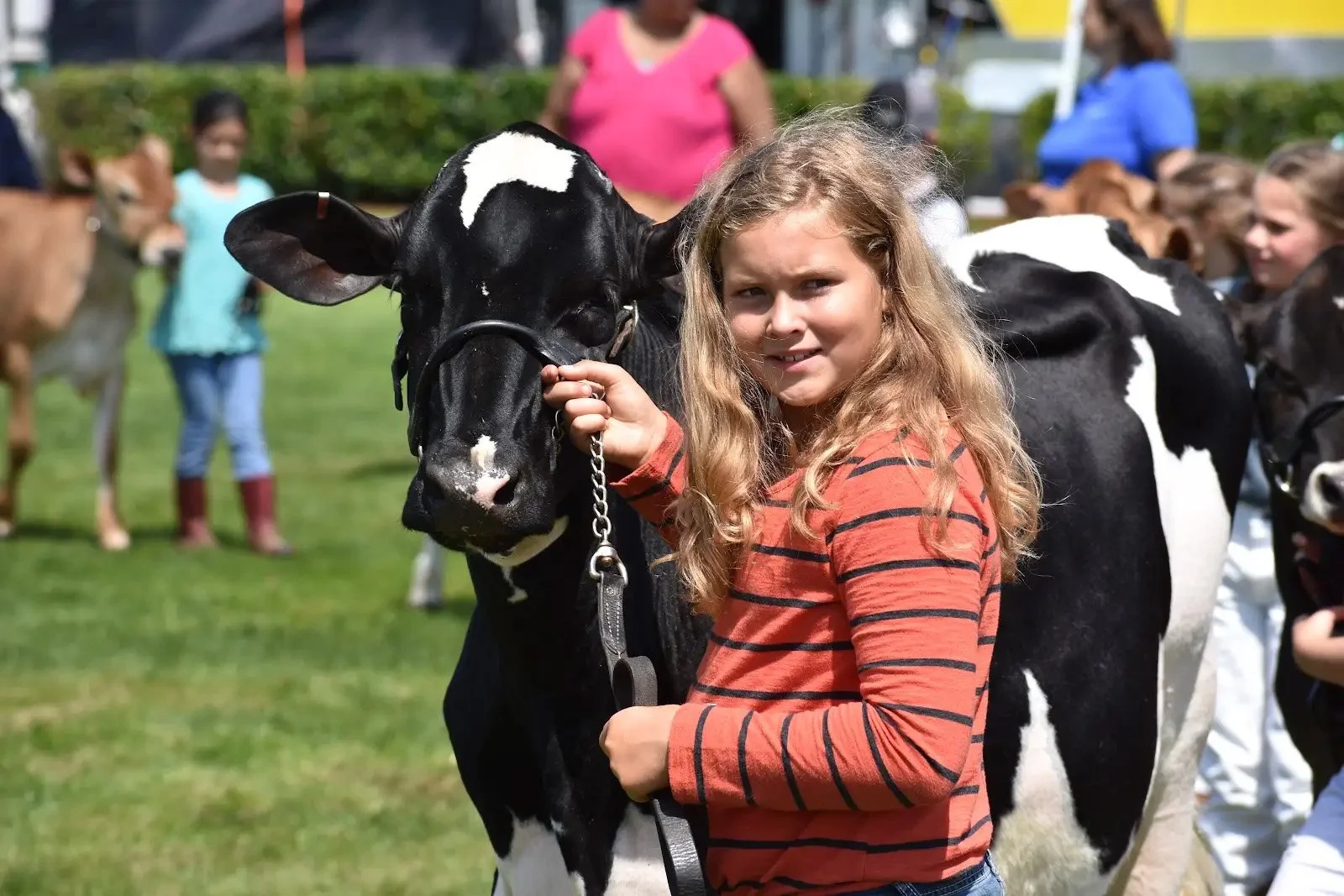 DO have a cow