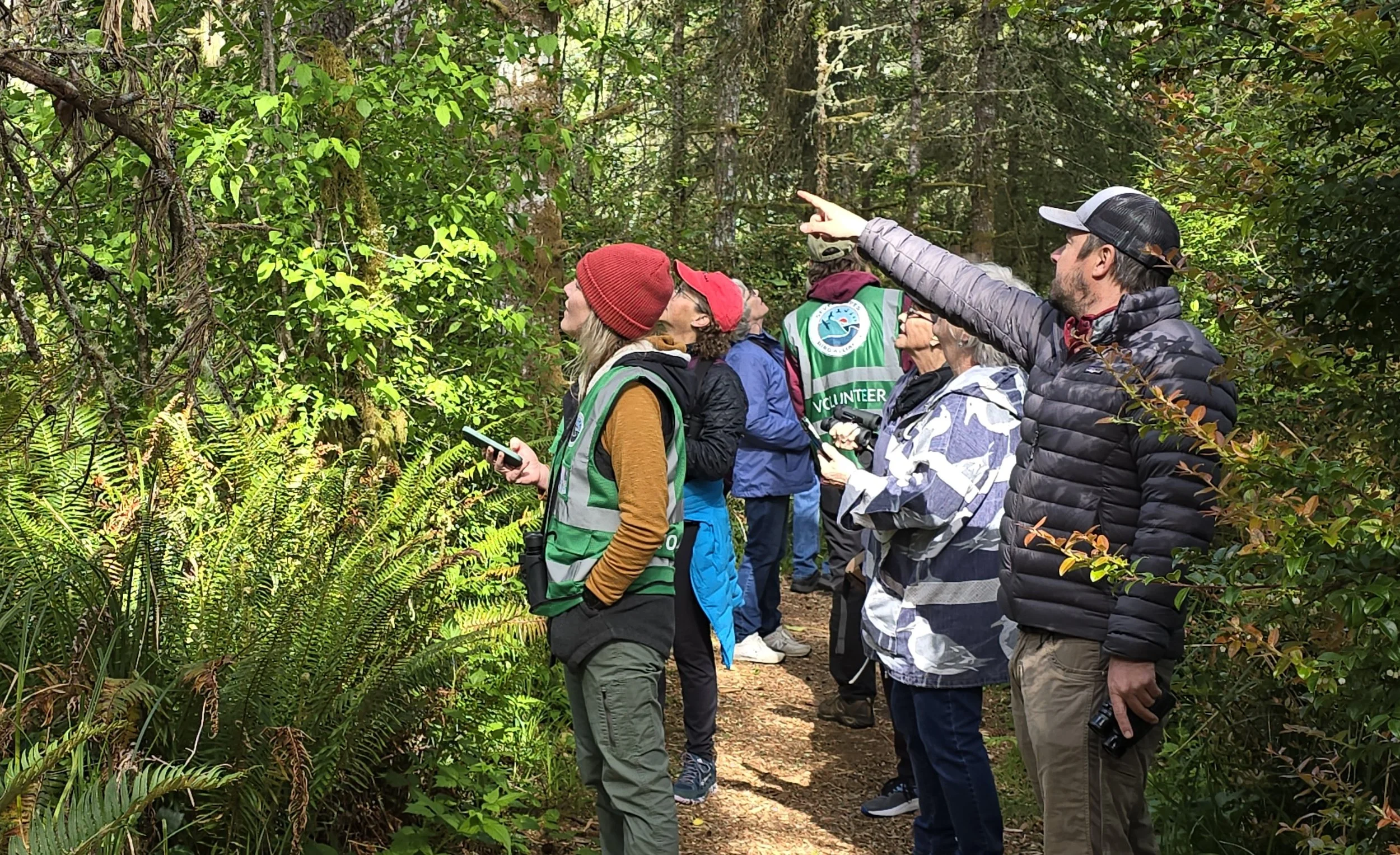 Go outside, get involved