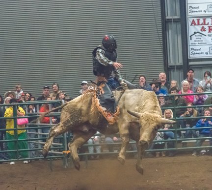 A whole lot of fun for a few bucks