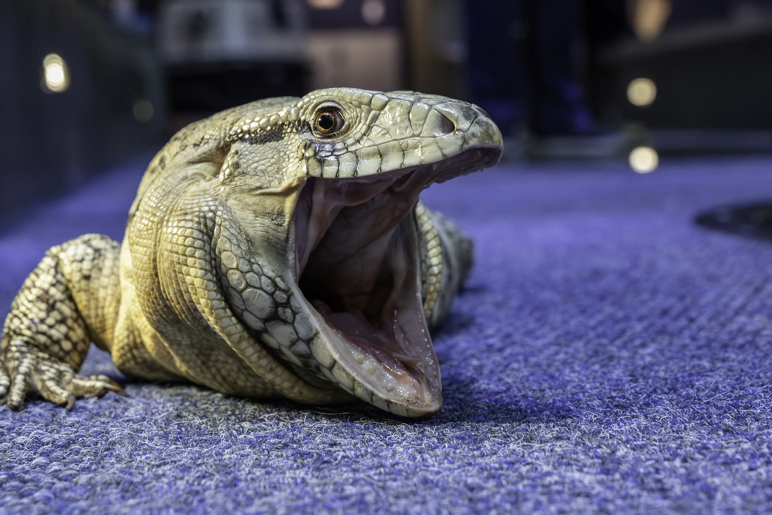 This exhibit delivers