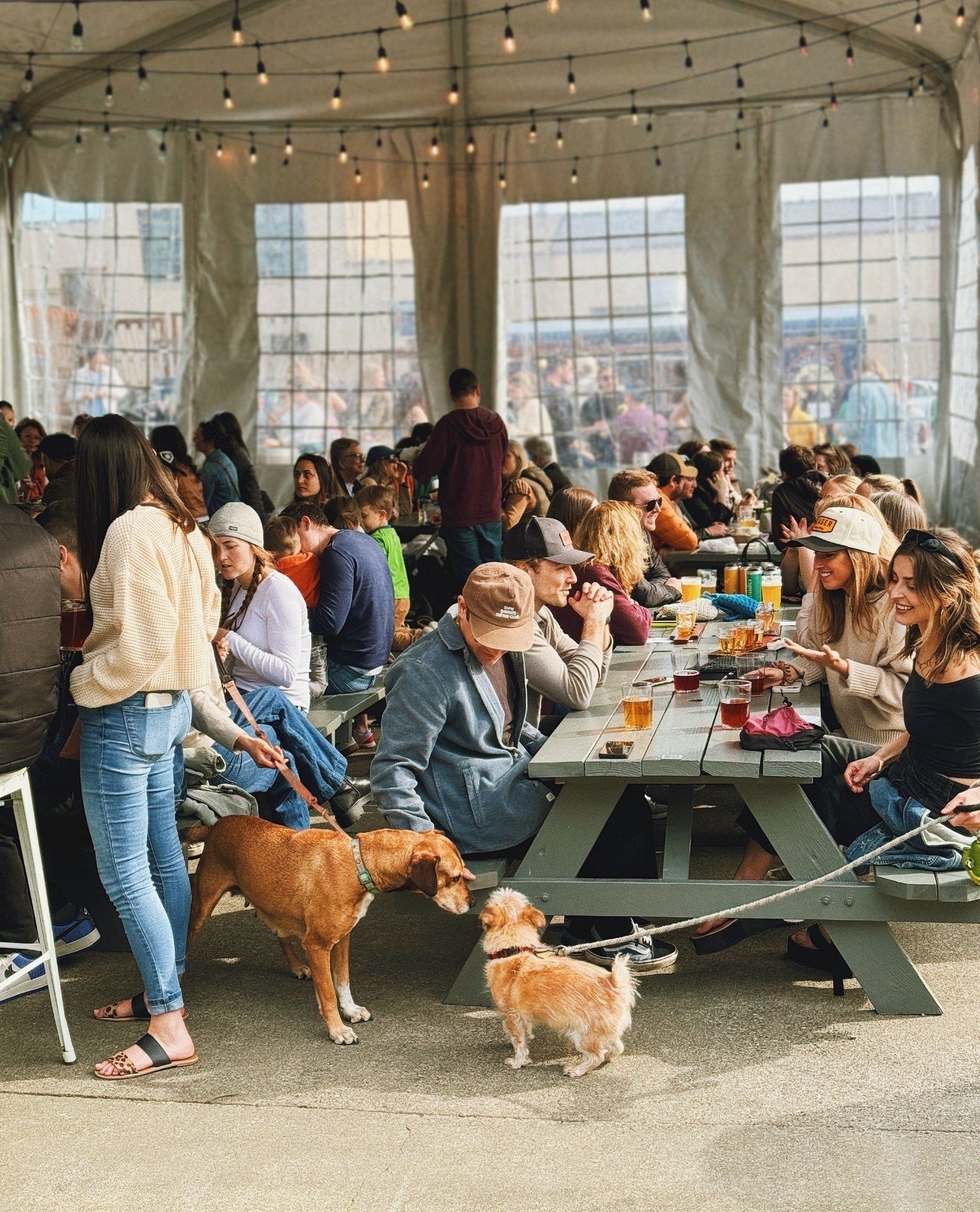Good vibes only at our taproom - where every friend is welcome, furry or not! Bring your squad, bring your pup, and enjoy some delicious cider! 🐶✨️⁠
⁠
⁠
⁠
⁠⁠#taproomvibes #yondercider #drinkyonder #borntoroam #illbeoveryonder #ballard #thebbyctaproo