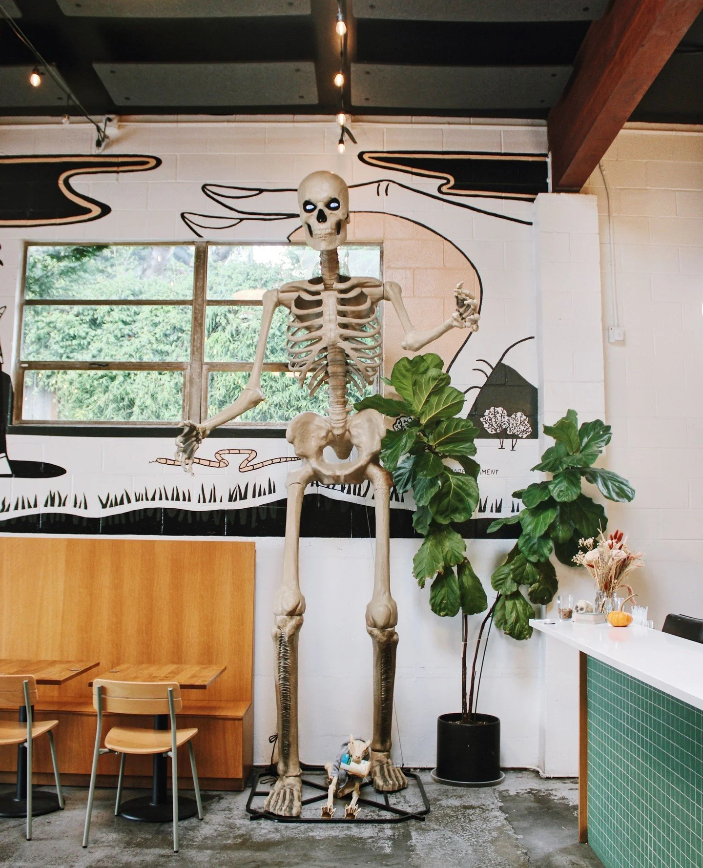It&rsquo;s spooky season, so naturally we went all out. ⁠
⁠
Skeletons? ✔️⁠
Pumpkins? ✔️ ⁠
Bats? ✔️ ⁠
⁠
Come grab a cider and see if you can spot all our haunted d&eacute;cor (bonus points if you make friends with the skeleton). 💀🍻⁠
⁠
⁠
#yondercider