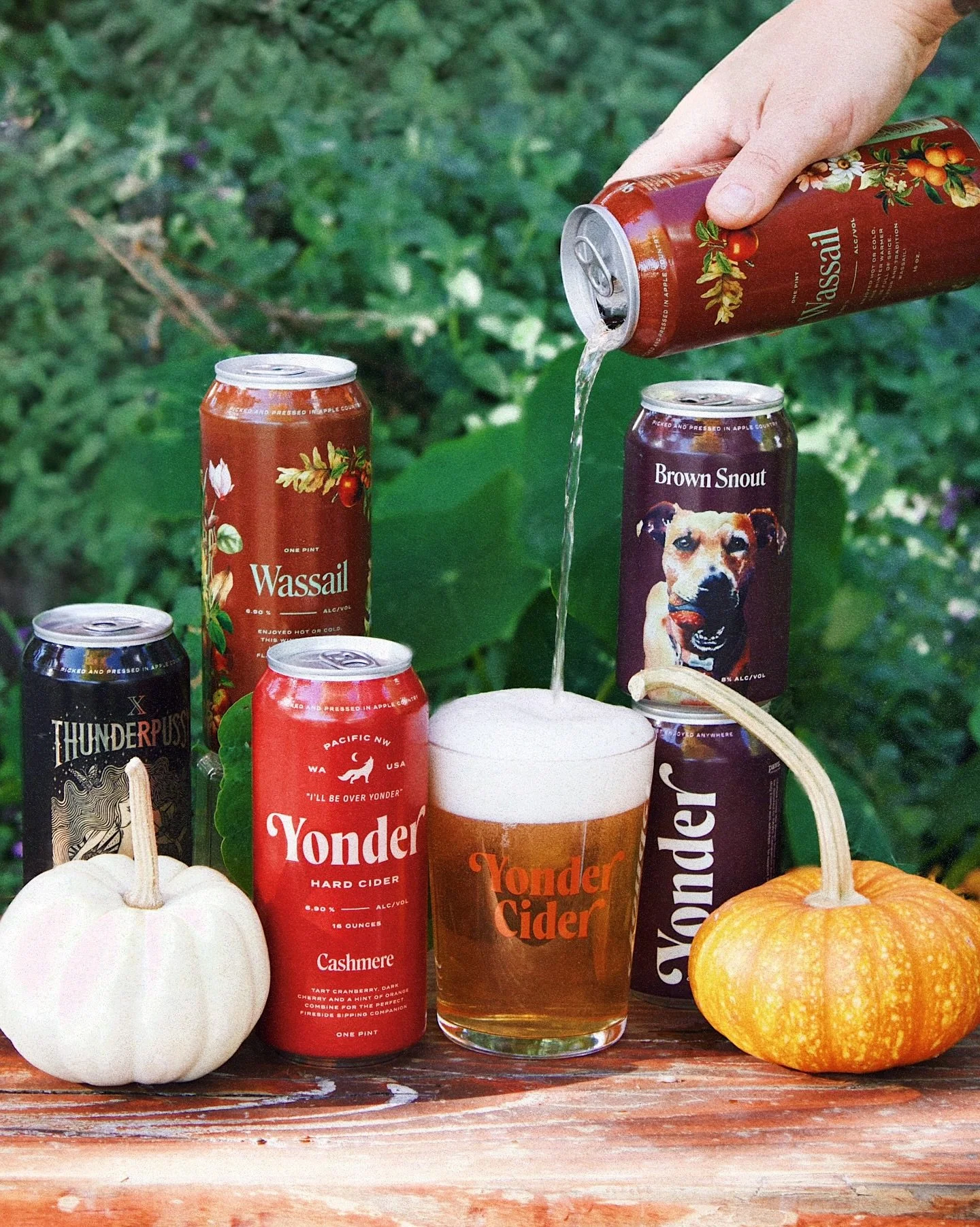 Stock up before the spookiest night of the year! 🎃⁠
⁠
We&rsquo;ve got all the fall flavors you love - crisp, cozy, and perfect for spooky season sipping. Whether you&rsquo;re hosting a haunted bash or passing out candy, no night&rsquo;s complete wit