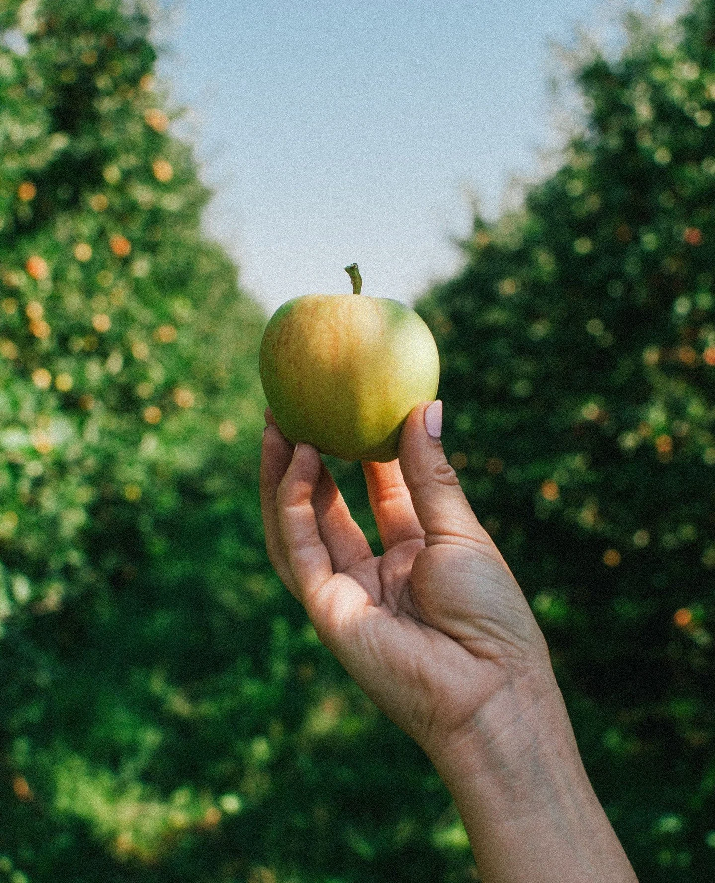 Cider starts long before it reaches your glass. It starts with people - and many of the hands that make our work possible belong to members of Washington&rsquo;s immigrant community. Their labor, knowledge, and care are essential to the agricultural 