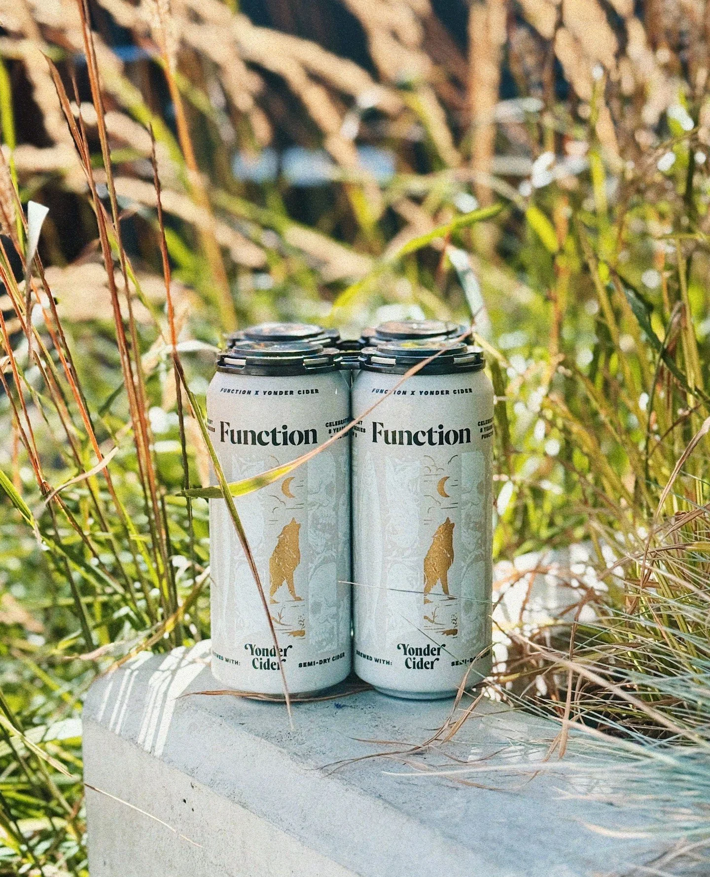 Function case sale alert! 🍎⁠
⁠
Starting tomorrow, February 24th, when you grab 6 or more Function 4pks, you&rsquo;ll get 30% OFF. This is your sign to clear a little fridge space.⁠
⁠
Function is crisp, bright, and wildly drinkable - made with Washin