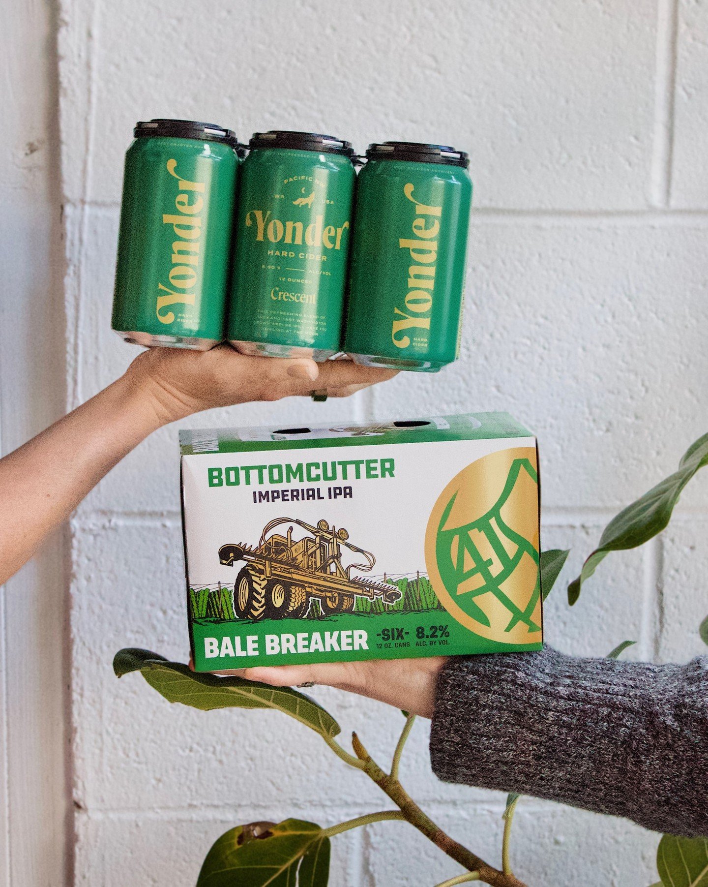 Celebrating the greener things in life. 💚⁠
⁠
From crisp apples to fresh hoppy pours from both sides of the valley, this lineup is looking extra lucky. A little bit of @yondercider, a little bit of @balebreaker, and a whole lot of goodness in the gla