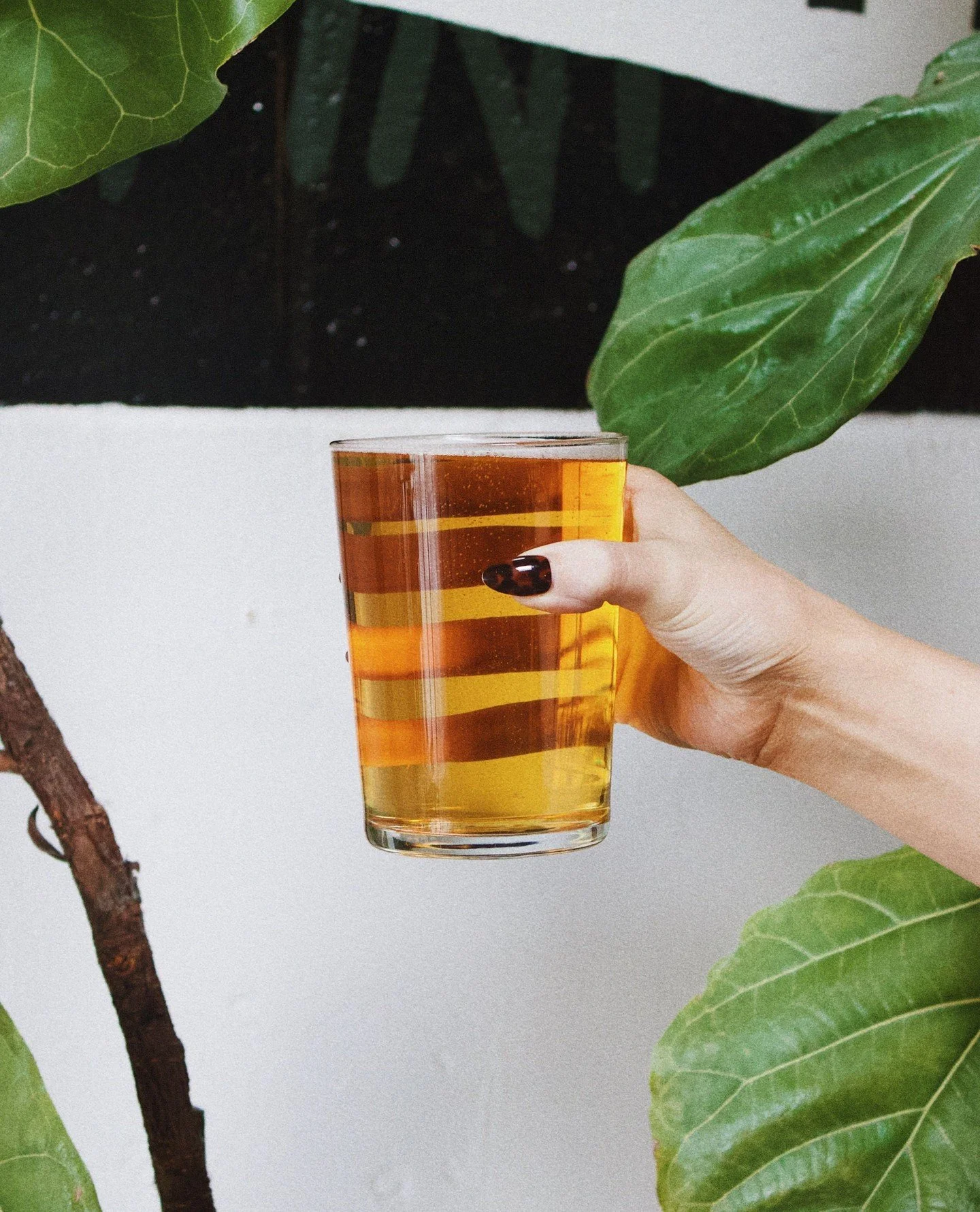 Not an April Fools joke! You asked and we listened&hellip; Apricot Tea is back on draft. 🍑🍂⁠
⁠
Just in time for spring, this fan favorite is bursting with juicy apricots layered with the smooth, earthy depth of black tea. The result is a perfectly 