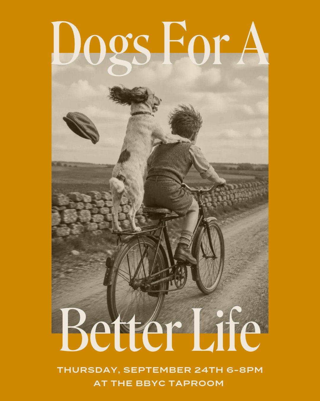 Join us at the BBYC Taproom on Thursday, September 24th from 6&ndash;8pm for an evening with Dogs for a Better Life! Their team will be hanging out with us to chat about the incredible work they do with service animals, how you can get involved, and 