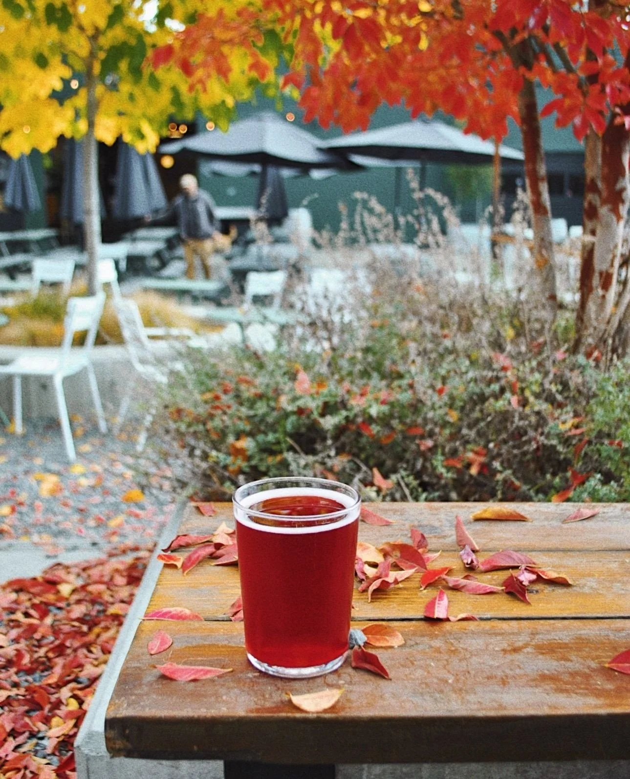 Hello, fall. 🍂🍎⁠
⁠
The first day of fall is here, and we&rsquo;re getting very excited for what&rsquo;s ahead. The leaves are just starting to change, the days are slowly getting cozier, and we&rsquo;re waiting patiently for that crisp fall air to 