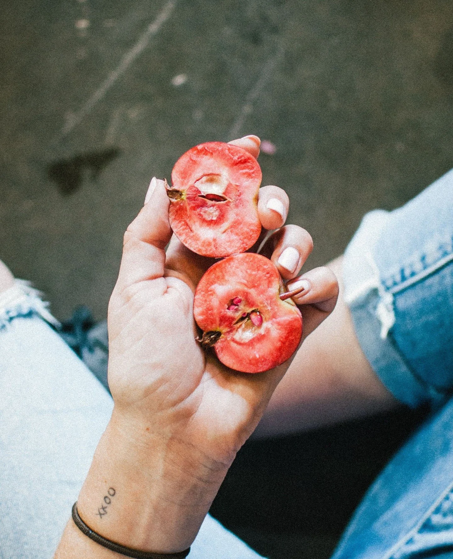 The red-fleshed apples have arrived in production! 🍎❤️⁠
⁠
Naturally red on the inside, these apples make some seriously beautiful cider - and you might recognize them as the stars of our Wenatchee Wave.⁠
⁠
Grown right here in Central Washington, the