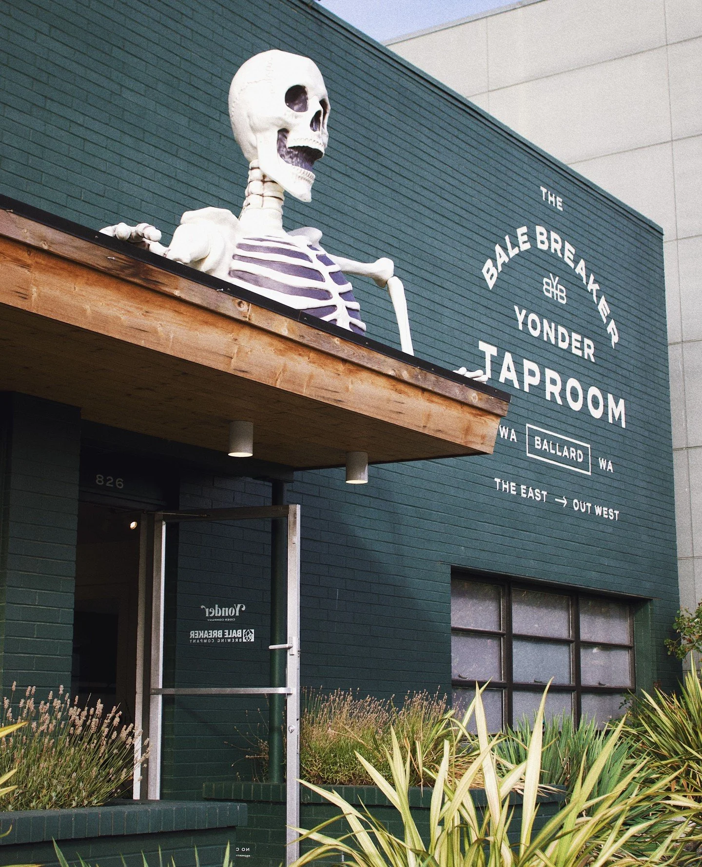 Spooky season has officially arrived at Yonder! 🎃👻 ⁠
⁠
The taproom is all dressed up for Halloween, and we&rsquo;re VERY into it. Come check out the spooky vibes, grab a cider, and settle in for fall at the taproom. ⁠
⁠
⁠
⁠
⁠
#yondercider #thebbyct