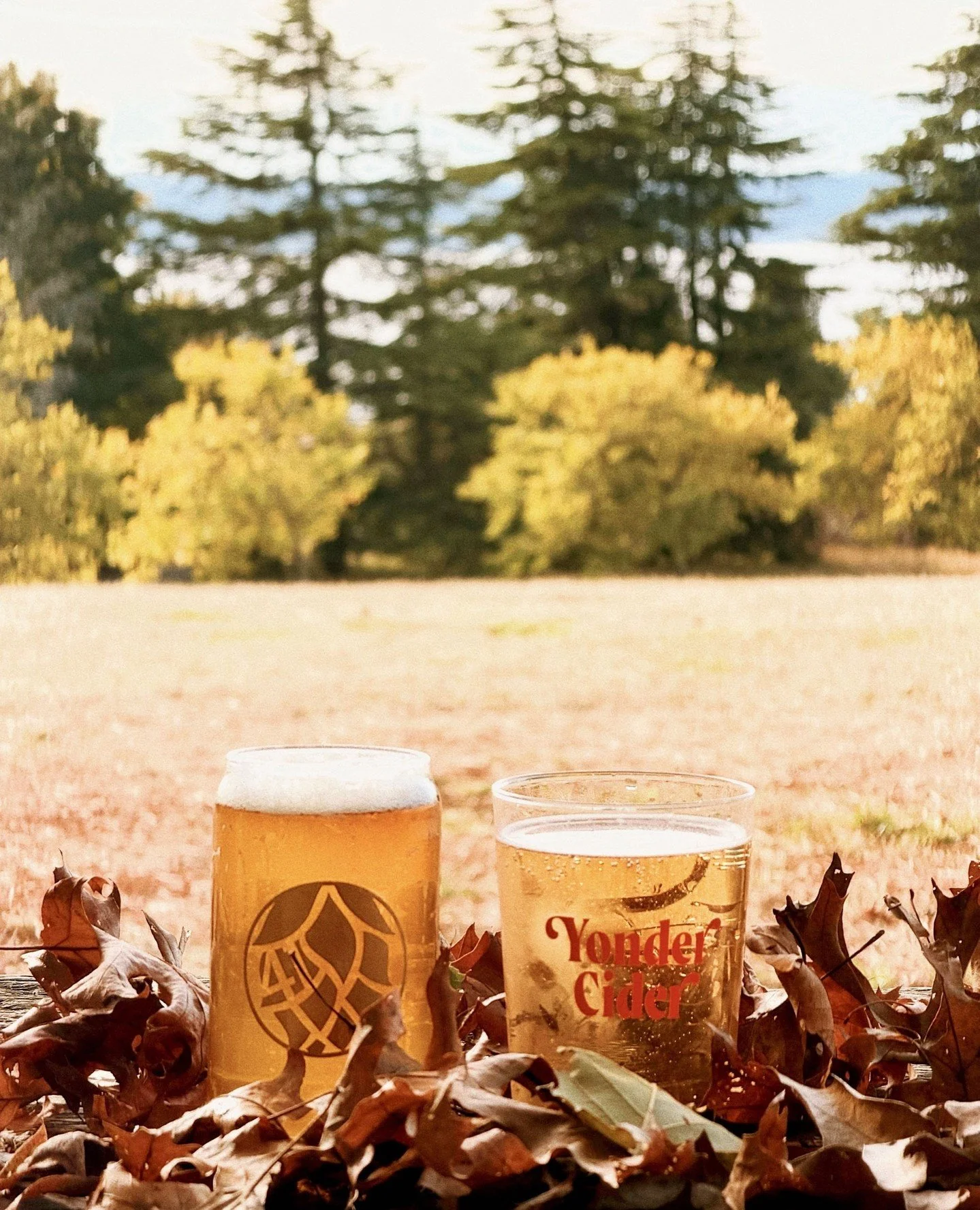 A little fall pairing we can get behind. 🍂🍻🍎⁠
⁠
Crisp air, crunchy leaves, a @balebreaker beer in one hand and a @yondercider in the other. Sounds like a pretty good way to enjoy your fall day. 😉⁠
⁠
Meet you out at the taproom! ⁠Open at 3pm today