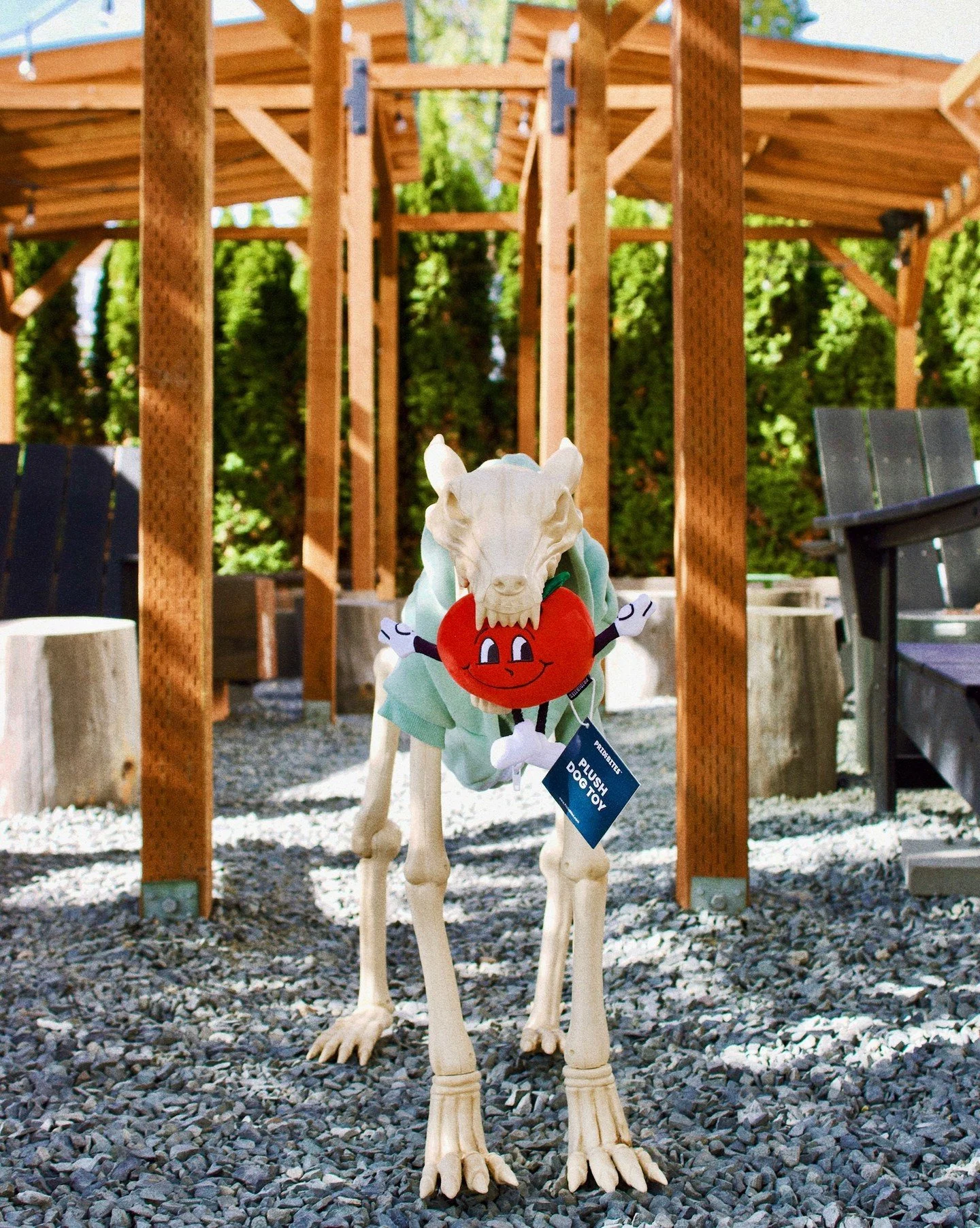 All bones, no thoughts. 💀🐾⁠
⁠
Our skeleton pup is rocking the Yonder hoodie and absolutely refusing to drop the apple guy dog toy. Honestly? We get it.⁠
⁠
Spooky season, but make it fetch. 😉⁠
⁠
⁠
⁠
⁠
#yondercider #thebbyctaproom #borntoroam #illbe