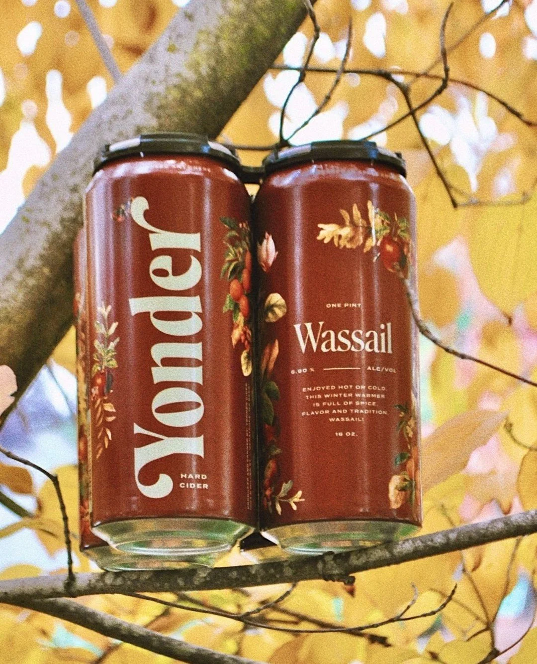 Your favorite cozy-weather cider is rolling back in this weekend, just in time for sweater weather, fire pits, and pretending you&rsquo;re going to leave the house when it&rsquo;s cold out.⁠
⁠
Wassail brings all the good stuff: juicy apples, orange a