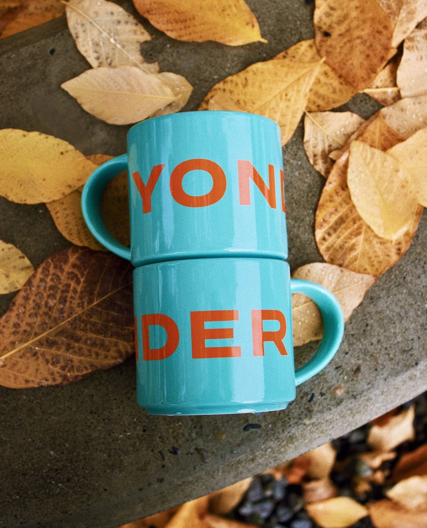 For the early risers, the slow sippers, and the folks who need a little extra coffee (16oz) before heading out yonder. Our new Yonder mugs are here, and they&rsquo;re ready to hold your morning fuel (and then some).⁠☕⁠
⁠
⁠Big cup. Lots of Yonder. Fin