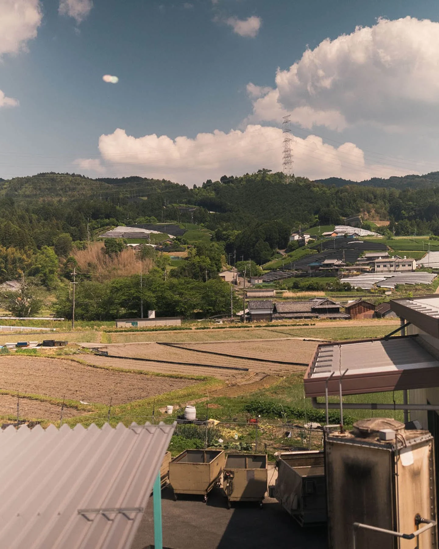 april 2026 matcha industry report