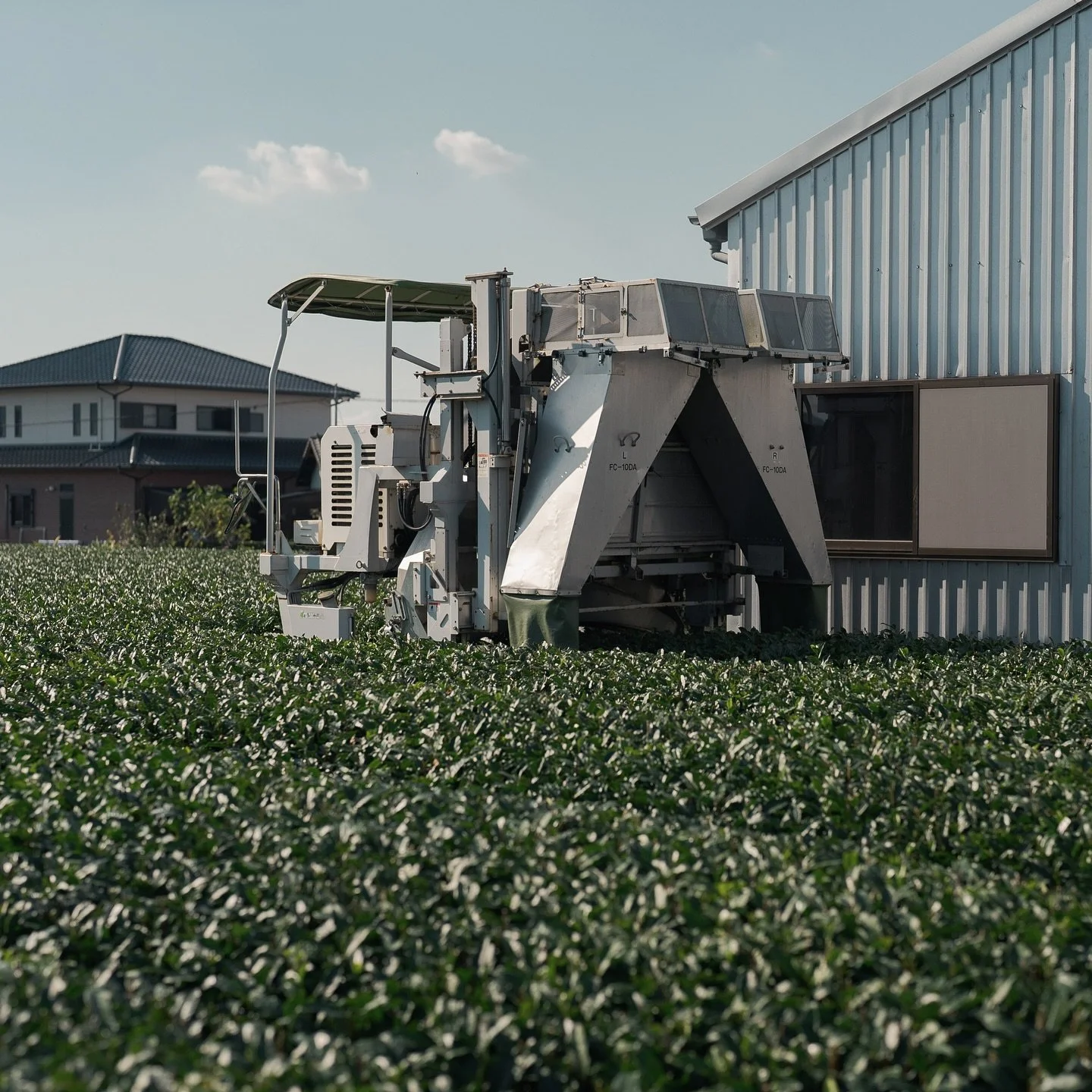 A rideable tea harvesting machine, which greatly increases productivity, meaning lower priced Matcha.

The downside is lower quality material. A trade off that is fine for Matcha destined for Matcha Lattes.

These machines will typically be found in 