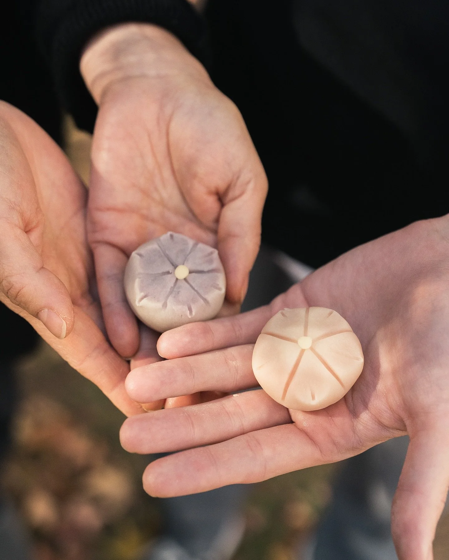 Thank you to Emmyさん for visiting Ooika and sharing his Wagashi craftsmanship. Wagashi are traditional Japanese confectioneries made from sweetened bean paste.