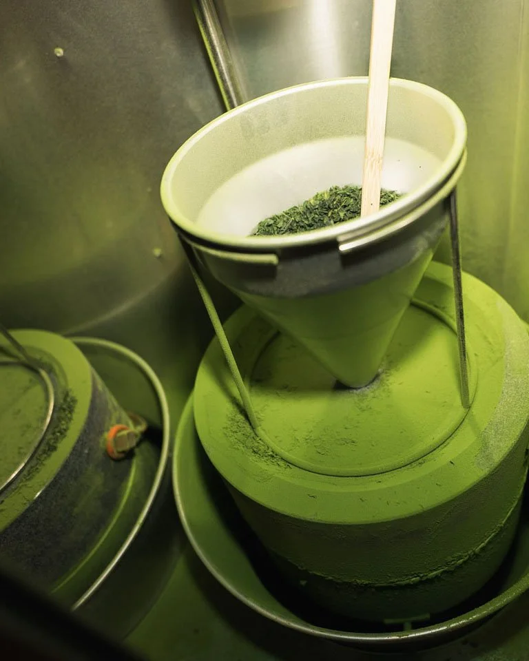 Matcha Industry Report - October 2025