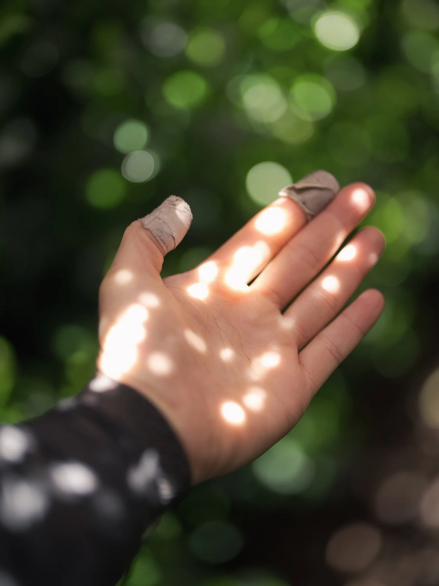 Circular light patterns form under rice straw shading. This shading style is known as Honzu and is largely commercially unviable. 

Some producers still keep up the tradition of rice straw shading despite the challenges. It produces a rich and aromat