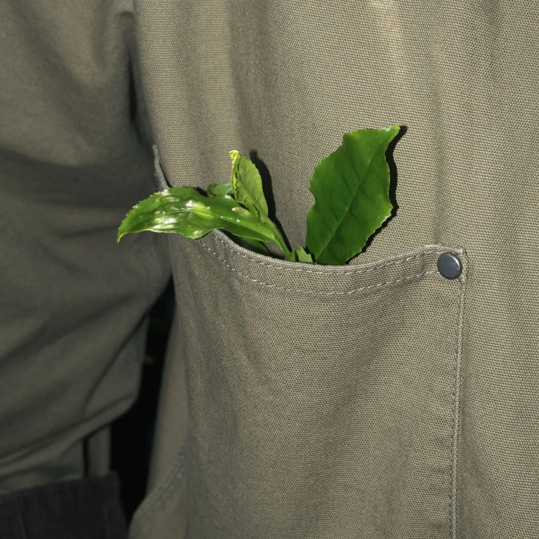 DSC08327.jpg