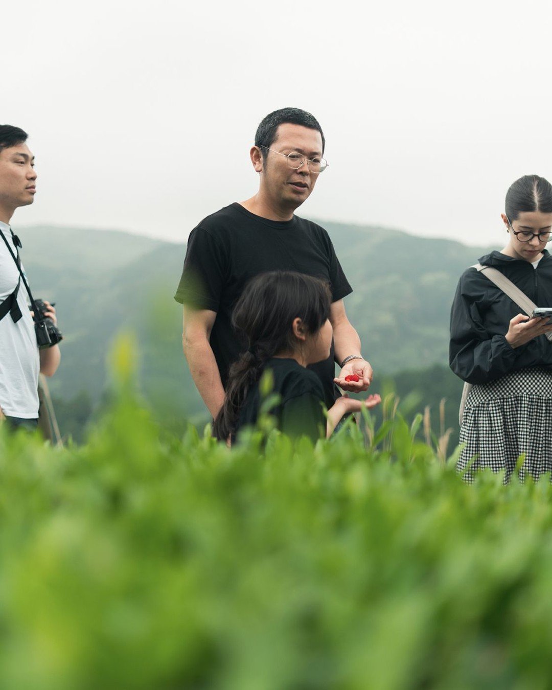 Kumaさん, one of Yame's most distinguished producers. In addition to his nationally awarded Gyokuro (a shaded loose leaf tea), Kuma also produces Japanese red tea (known as Black tea in the West), and Tencha (unground Matcha.) The family has been produ