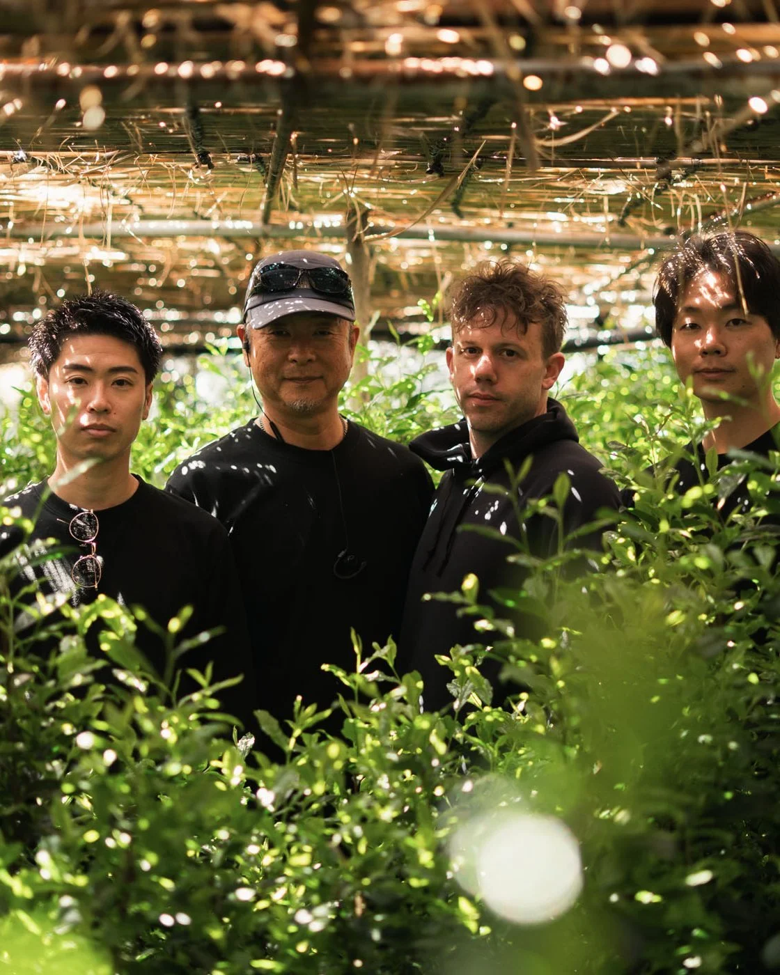 Beyond Matcha: Why All Japanese Tea Prices Are Rising