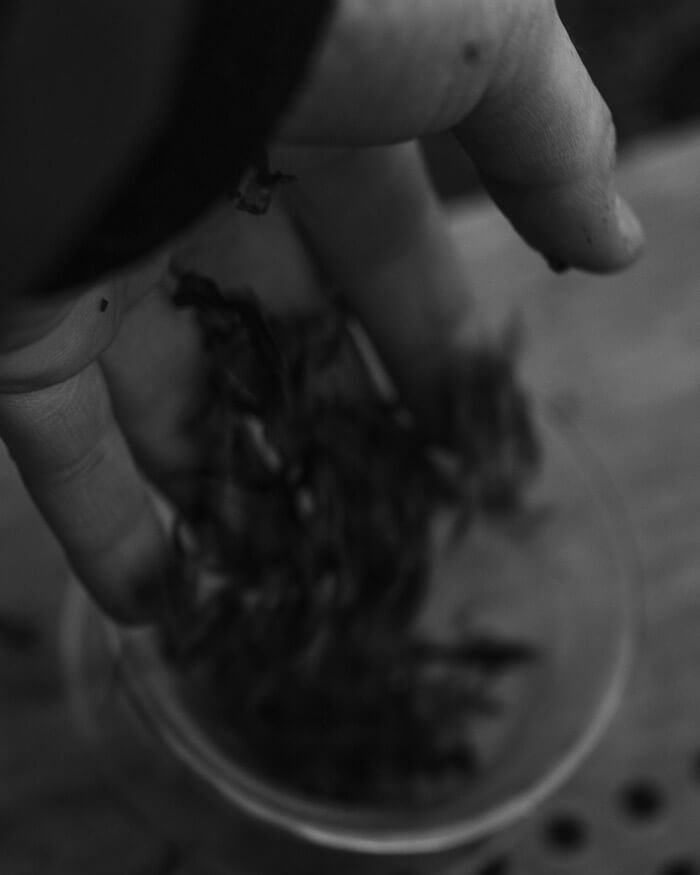 Hand Dropping Pu Er Tea into Gaiwan