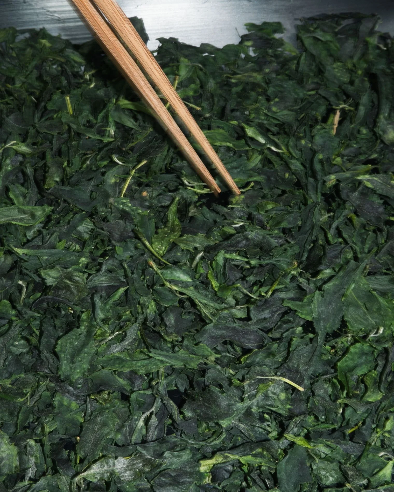 Hand-sorting Tencha leaves with chopsticks, the shaded leaf later stone-milled into Matcha