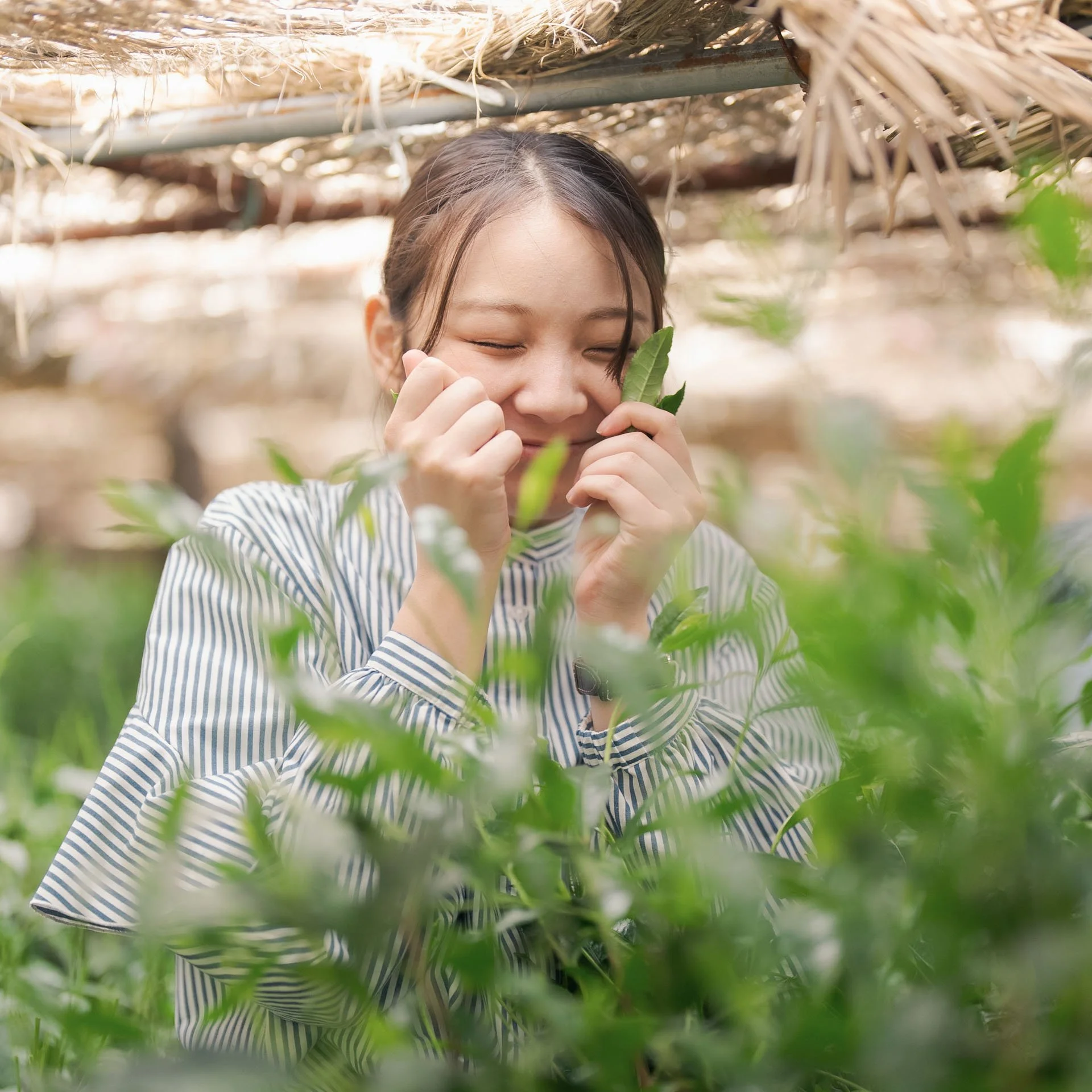 Ooika - 2022-2024 Tea Farm - 0446.jpg