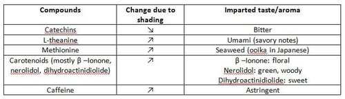 What is Kabuse (Tea Shading)? — Ooika (覆い香)