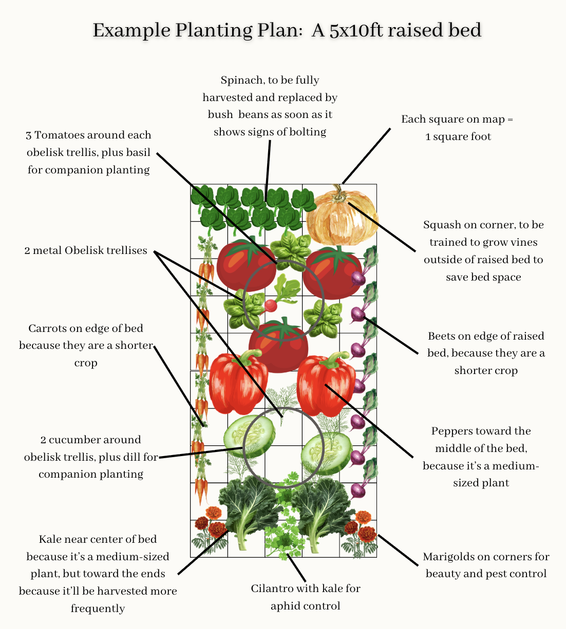 Vegetable garden design and planning