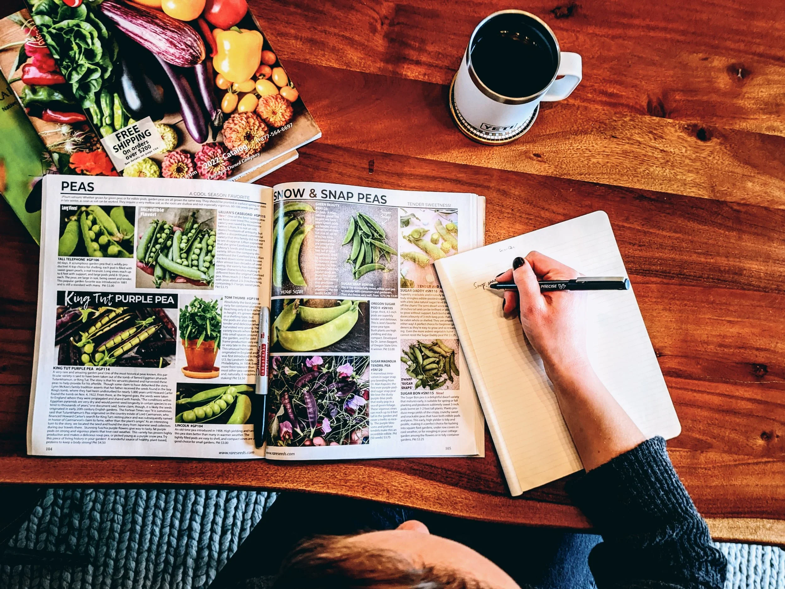 5 Steps to Plan Your Central Ohio Veggie Garden (#5 Gets Overlooked!)