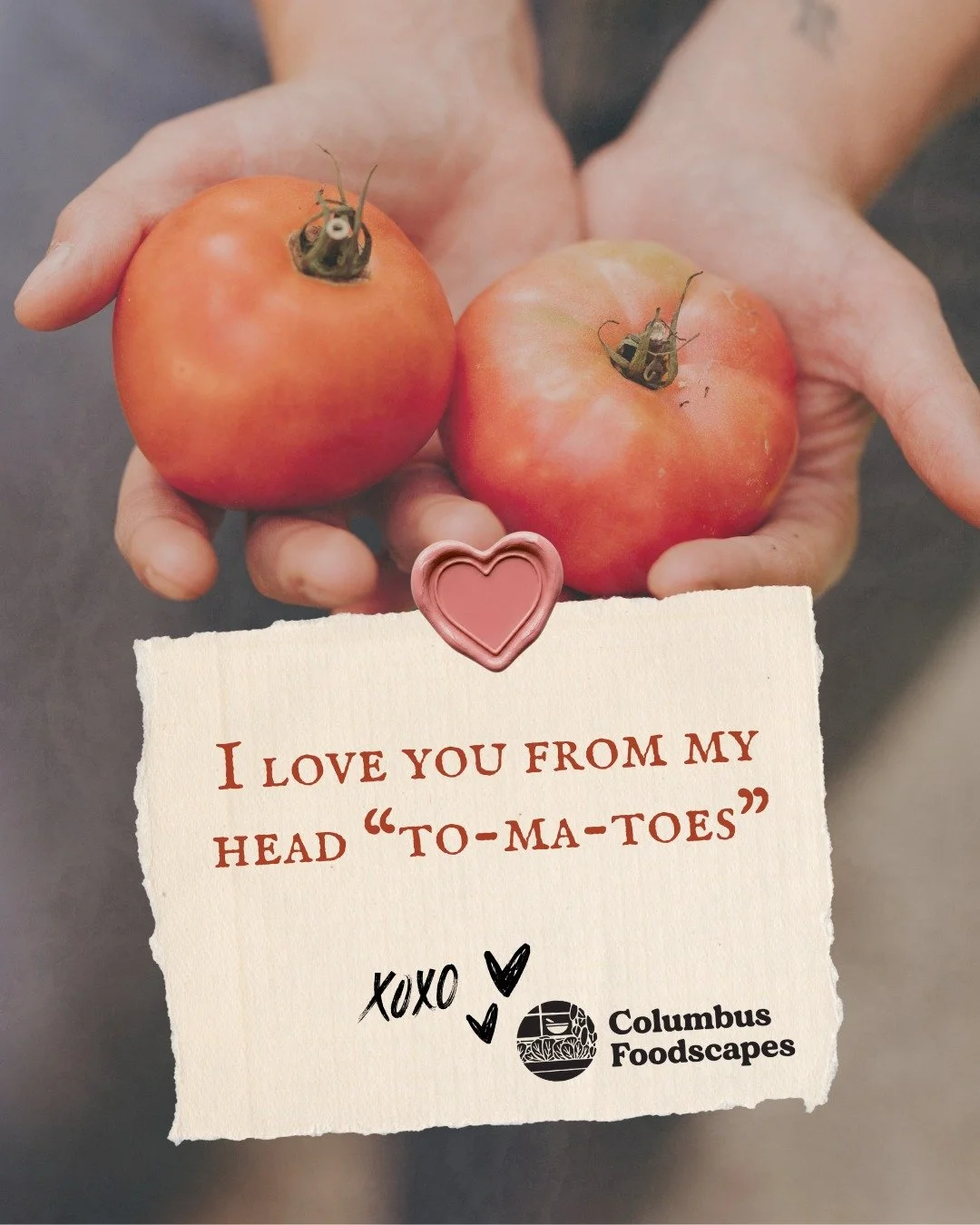 Do you have a special green thumb, local foodie, or garden buddy in your life? Send them a note of appreciation dosed with a touch of shared passion for fresh, organically grown, real food picked by real humans. 
💚
It's no secret that we are deeply 
