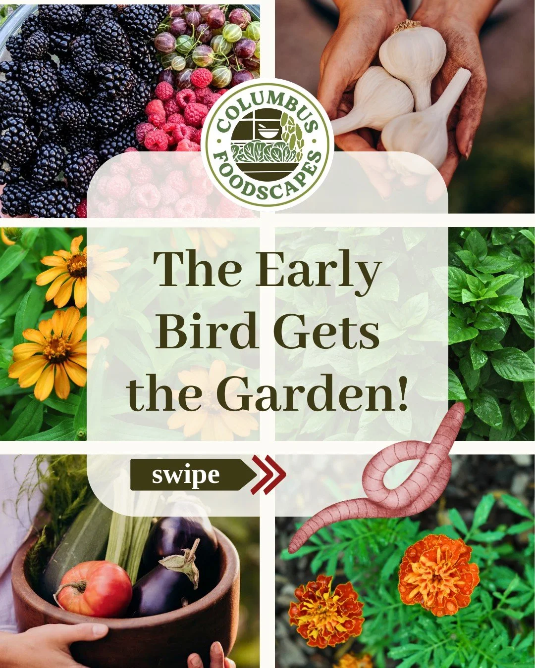 While some folks assume the garden season in central Ohio comes to a dead halt in Winter, this couldn&rsquo;t be further from the truth at Columbus Foodscapes. We have been busily planning, designing, and fine tuning our methods to step into Spring s