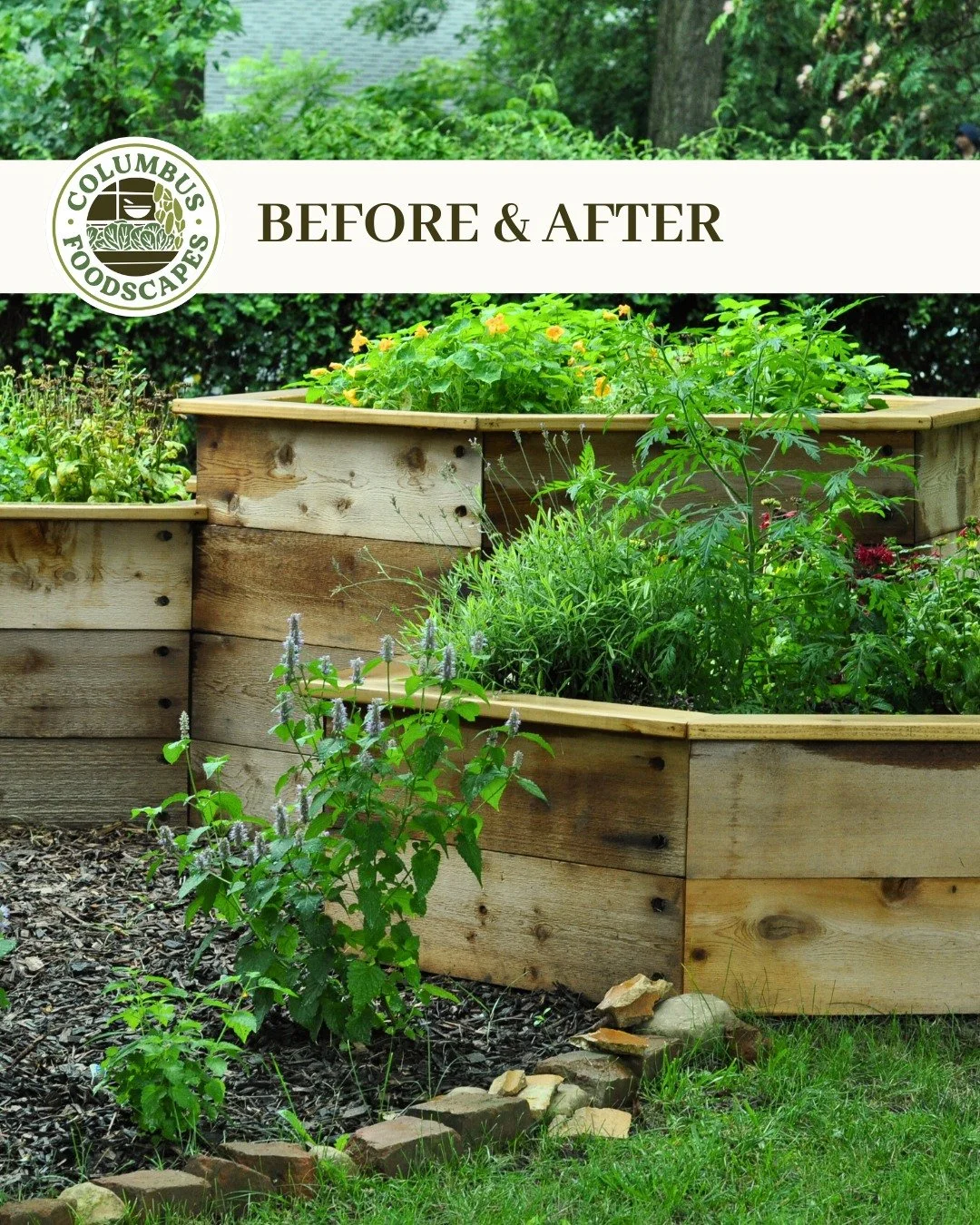 Welcome to Transformation Tuesday - a  day to admire a Columbus Foodscapes transformation and maybe even find inspiration for your own garden dreams. 
😍
Today we are swooning over the honor of building a peaceful haven within a @growingandgrowthcoll