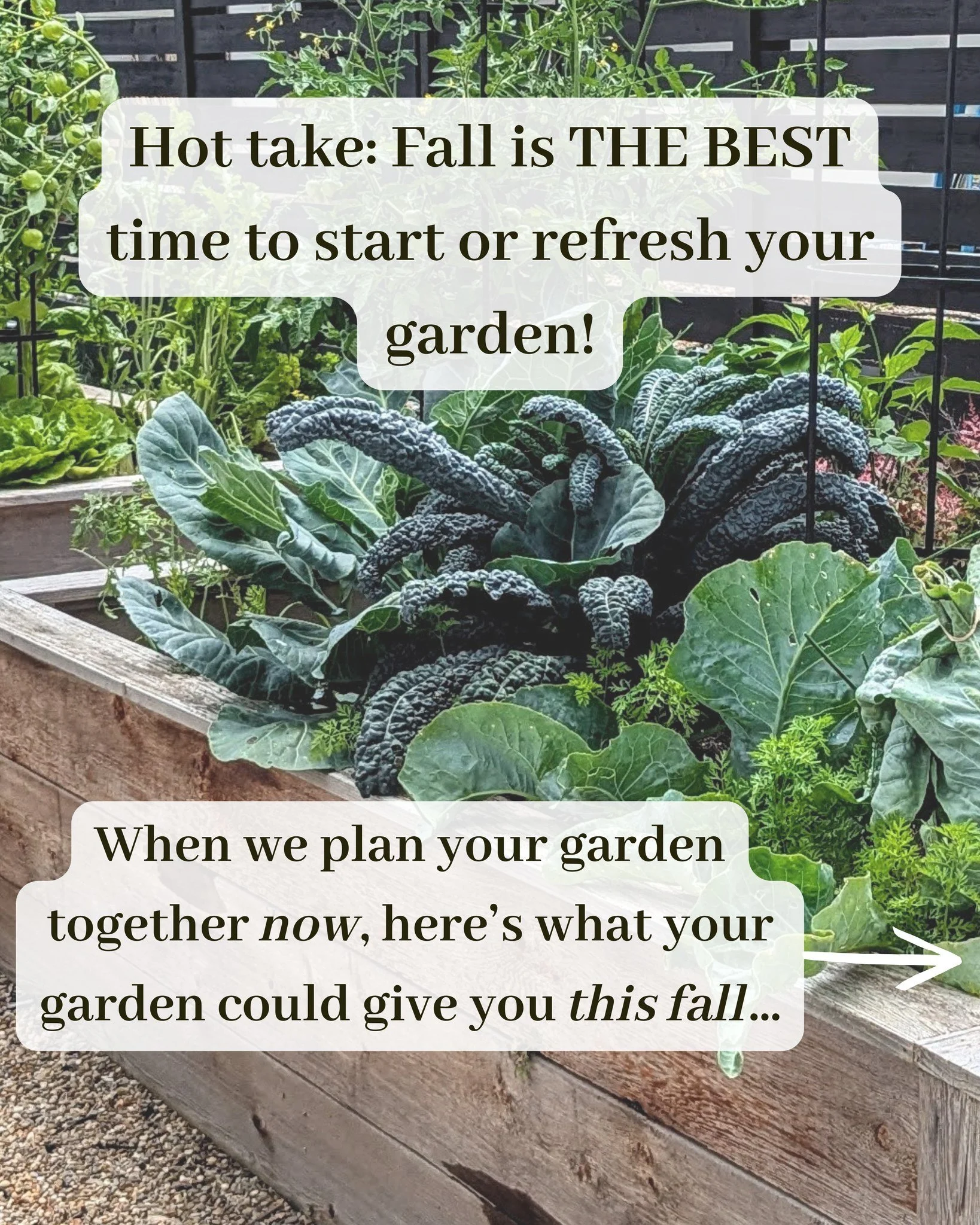 Fall might be the underdog of gardening seasons&hellip; but truthfully, it&rsquo;s one of the best times to start &mdash; especially with a garden consultation.

When we plan your garden together this fall, you could be enjoying:

🥗 A steady salad b