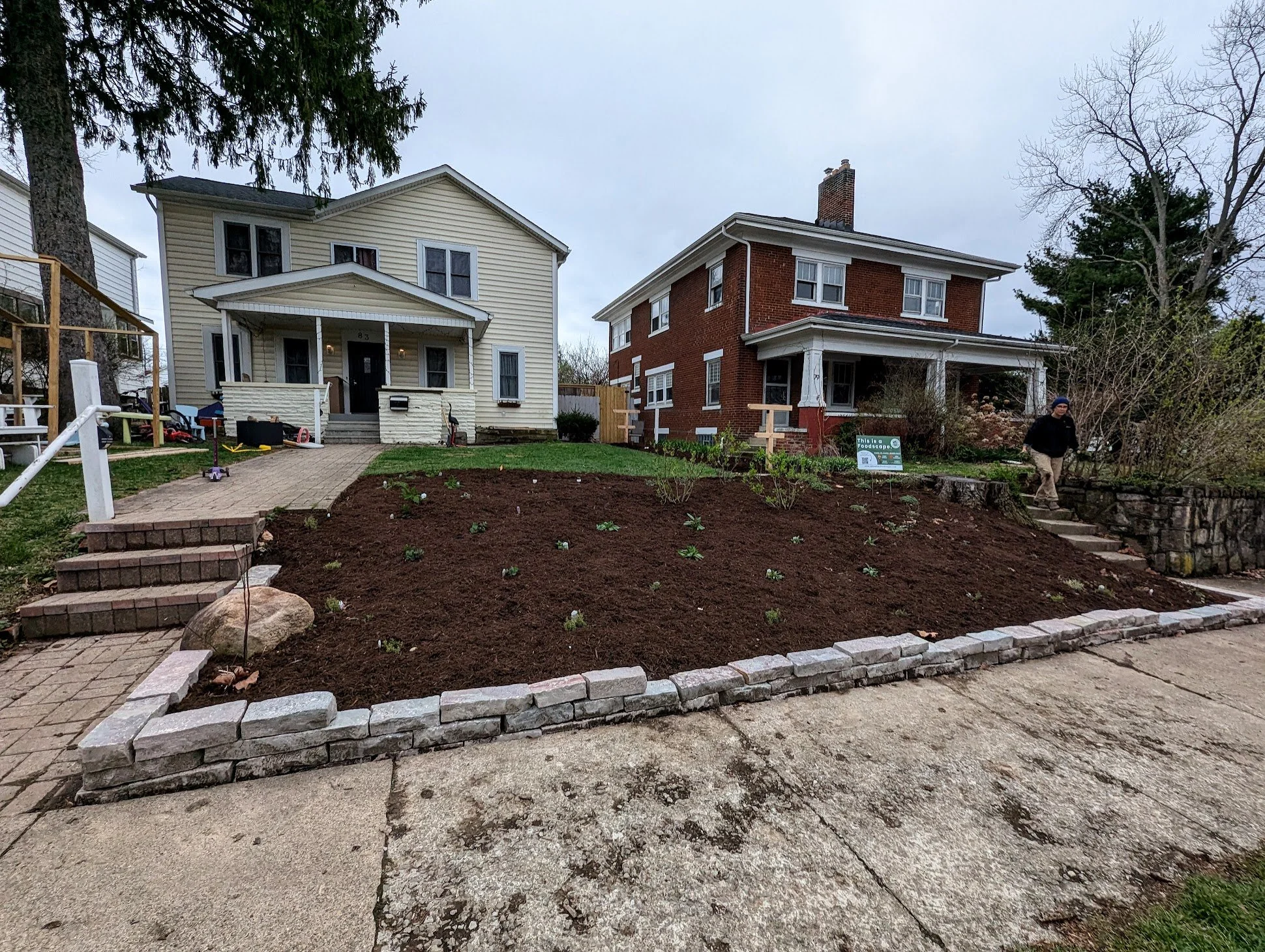 Front yard Clintonville Foodscape installed for @ro3llc this March 🌱

This garden is full of goodies for humans &amp; pollinators alike, featuring native plants, edibles like gooseberries &amp; asparagus, and stunning native blooms that will fill th