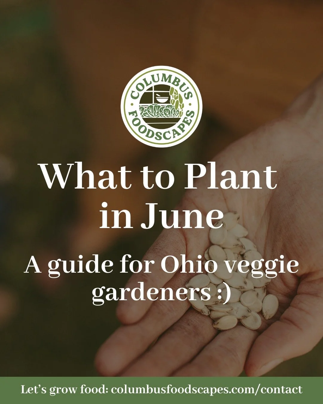 Feeling overwhelmed as the season rolls forward? Take a deep breath and check out our favorite fruits and veggies to transplant and direct seed in the month of June. We promise, it's not too late to grow food this year! We have multiple clients with 
