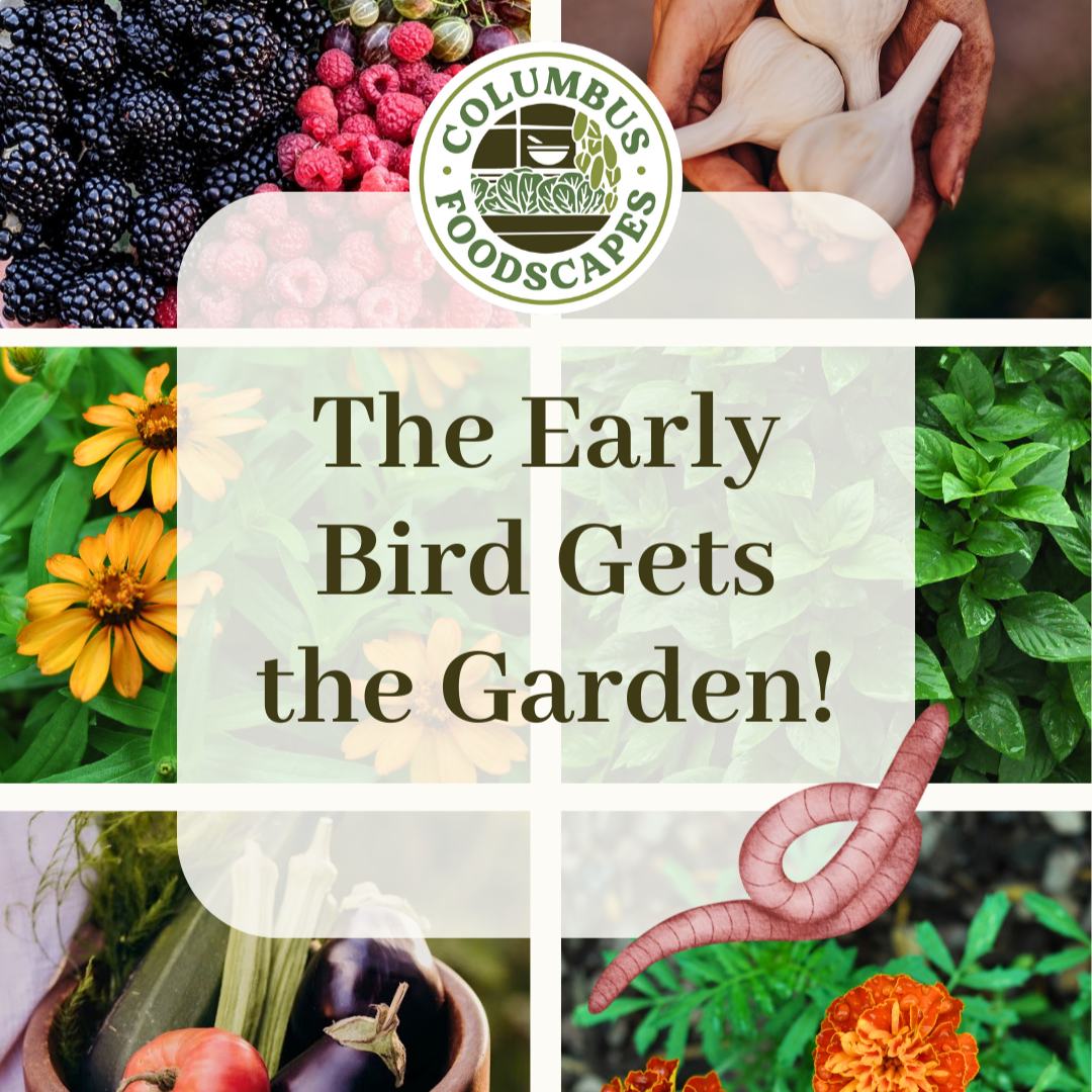 Gardening and landscaping services in Ohio