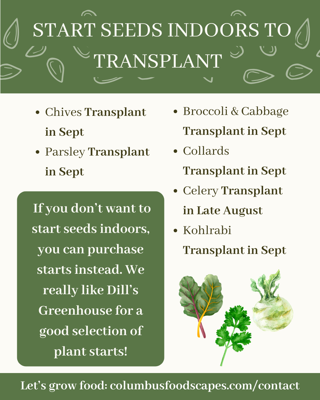 What seeds to sow in August