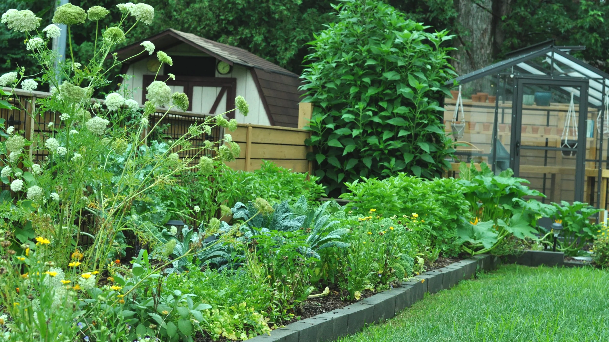 Edible landscape design in Ohio
