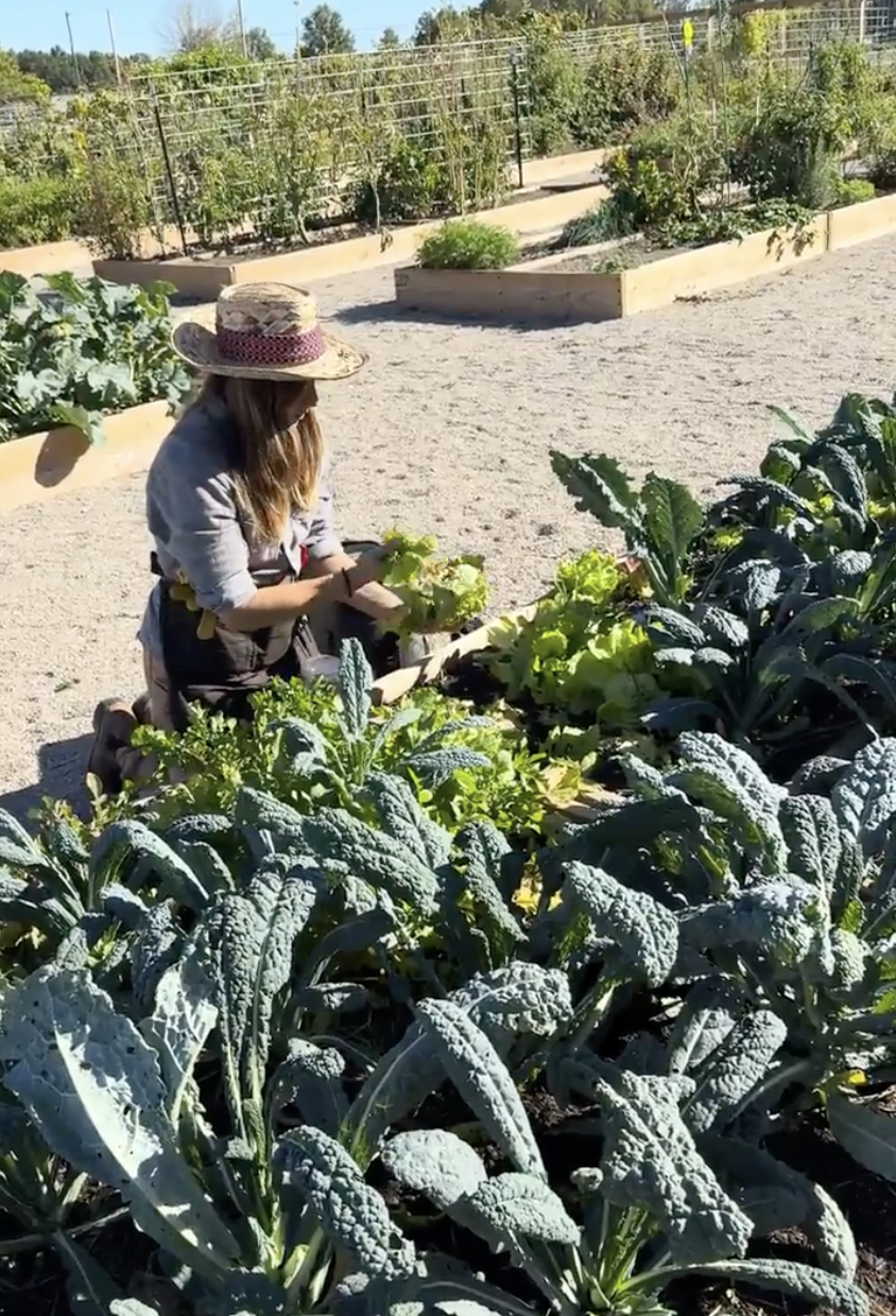 Screenshot 2026-01-21 at 1.24.34 PM.png